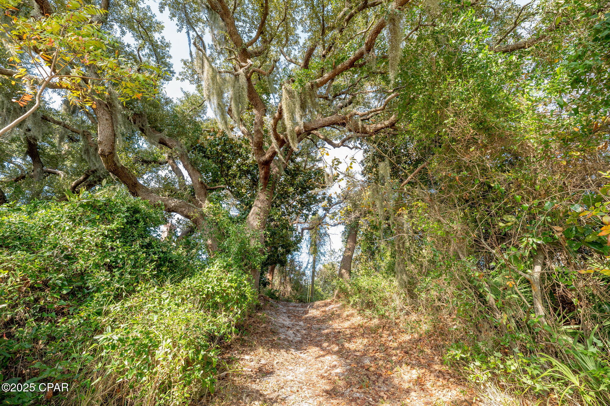 3533 Sanctuary Drive