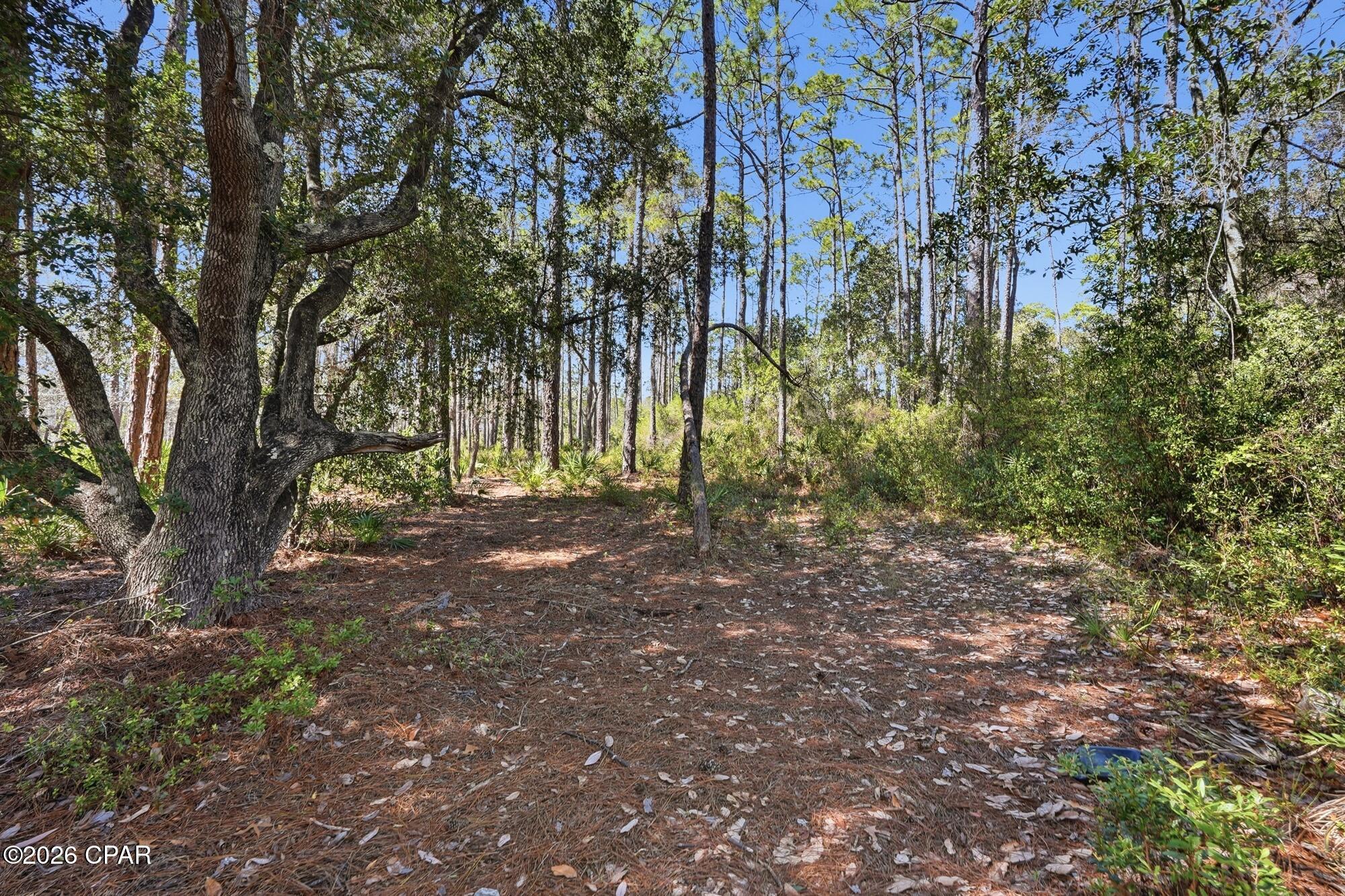 22100 Trumpet Trail