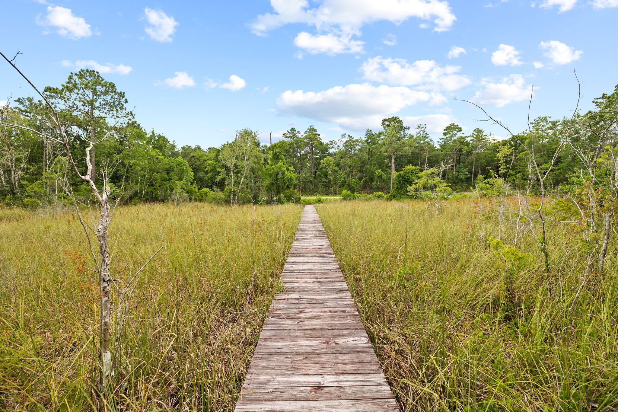 Lot 9 E Wild Blueberry Way