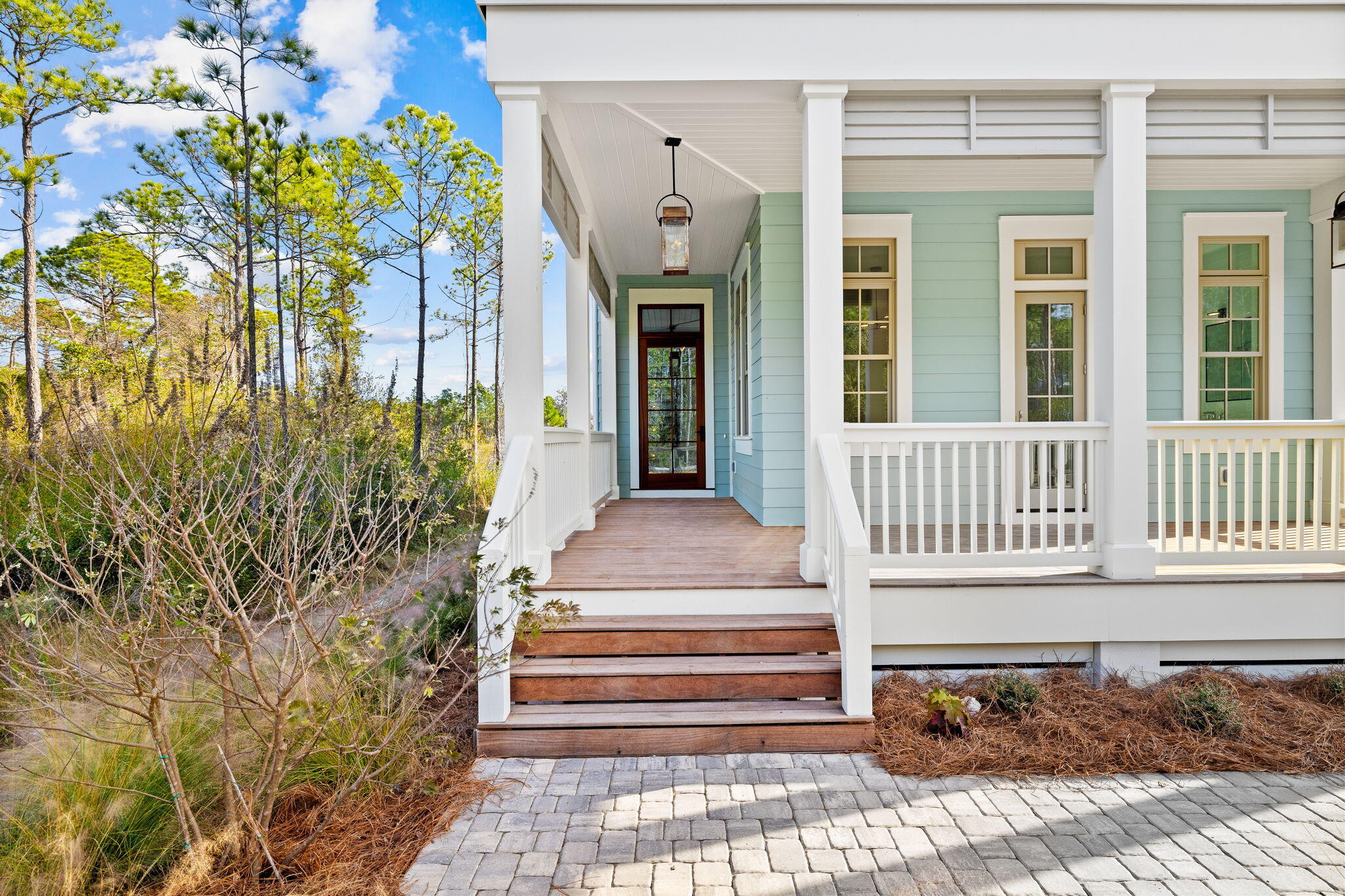 50 Climbing Rose Way