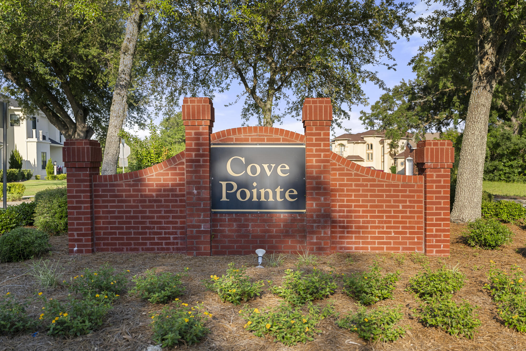 1107 Cove Pointe Drive