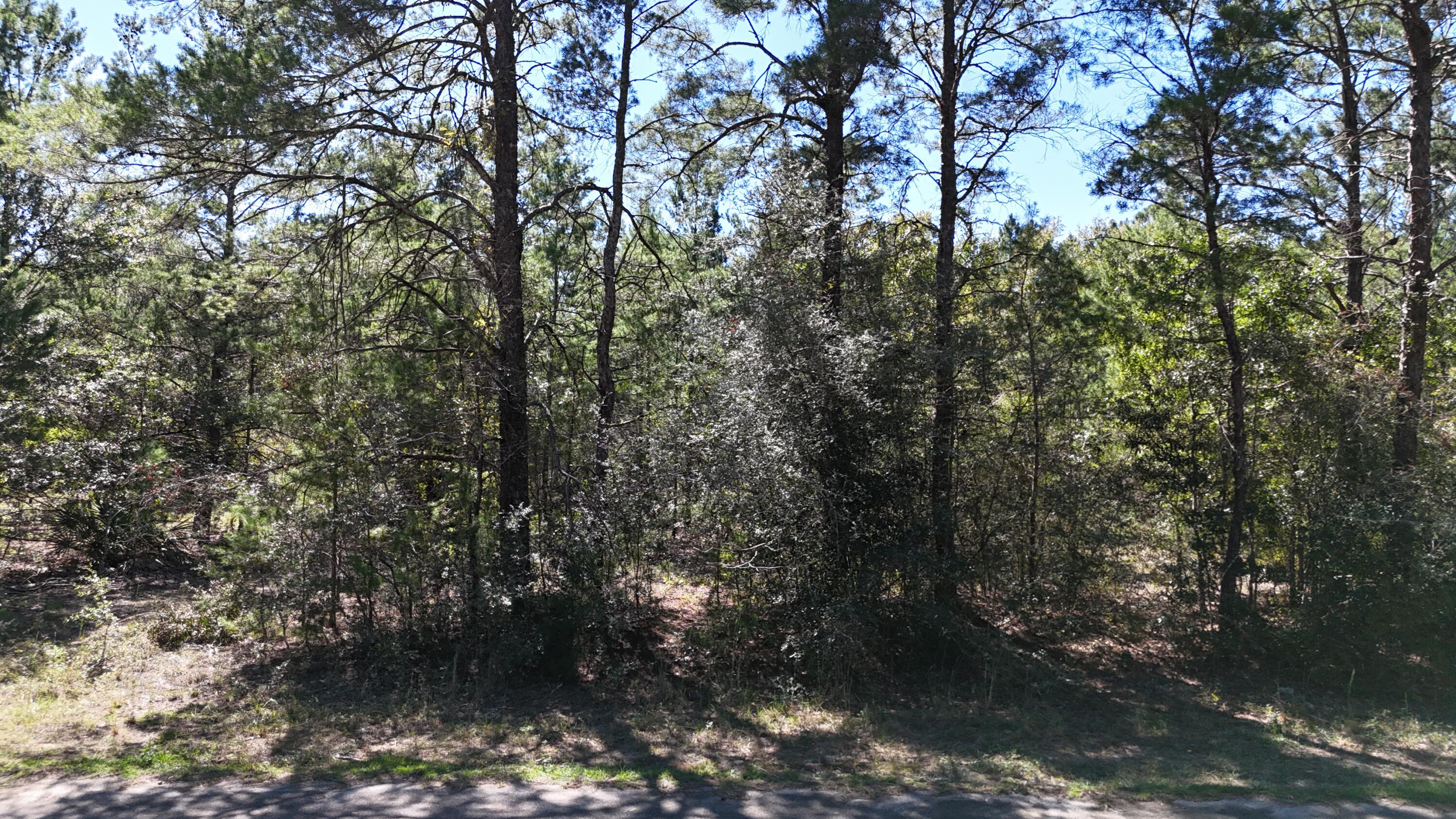 Lot 9 Golf Club Loop