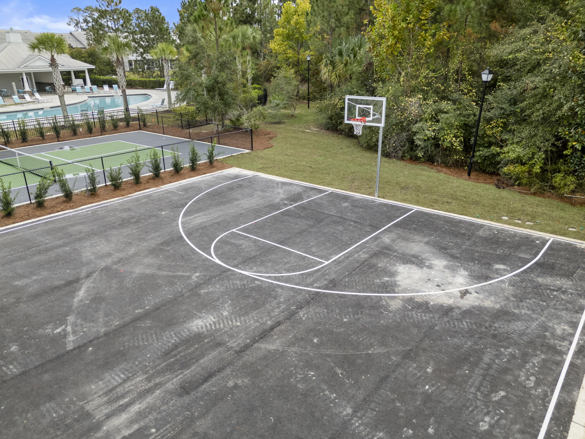 294 Date Palm Lane