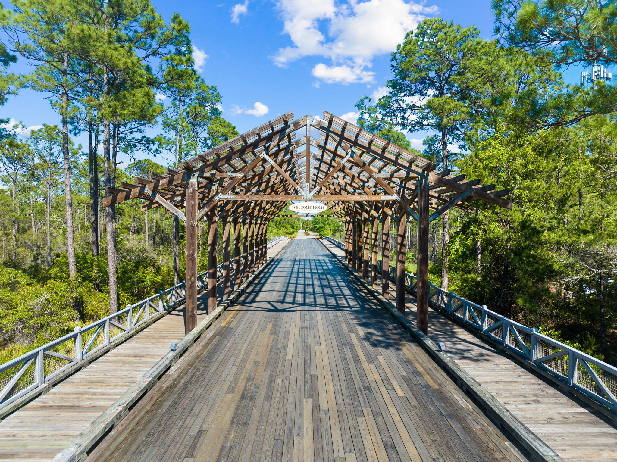 175 Flatwoods Forest Loop