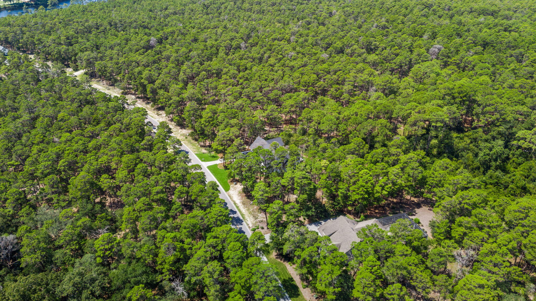 1736 Lost Cove Lane
