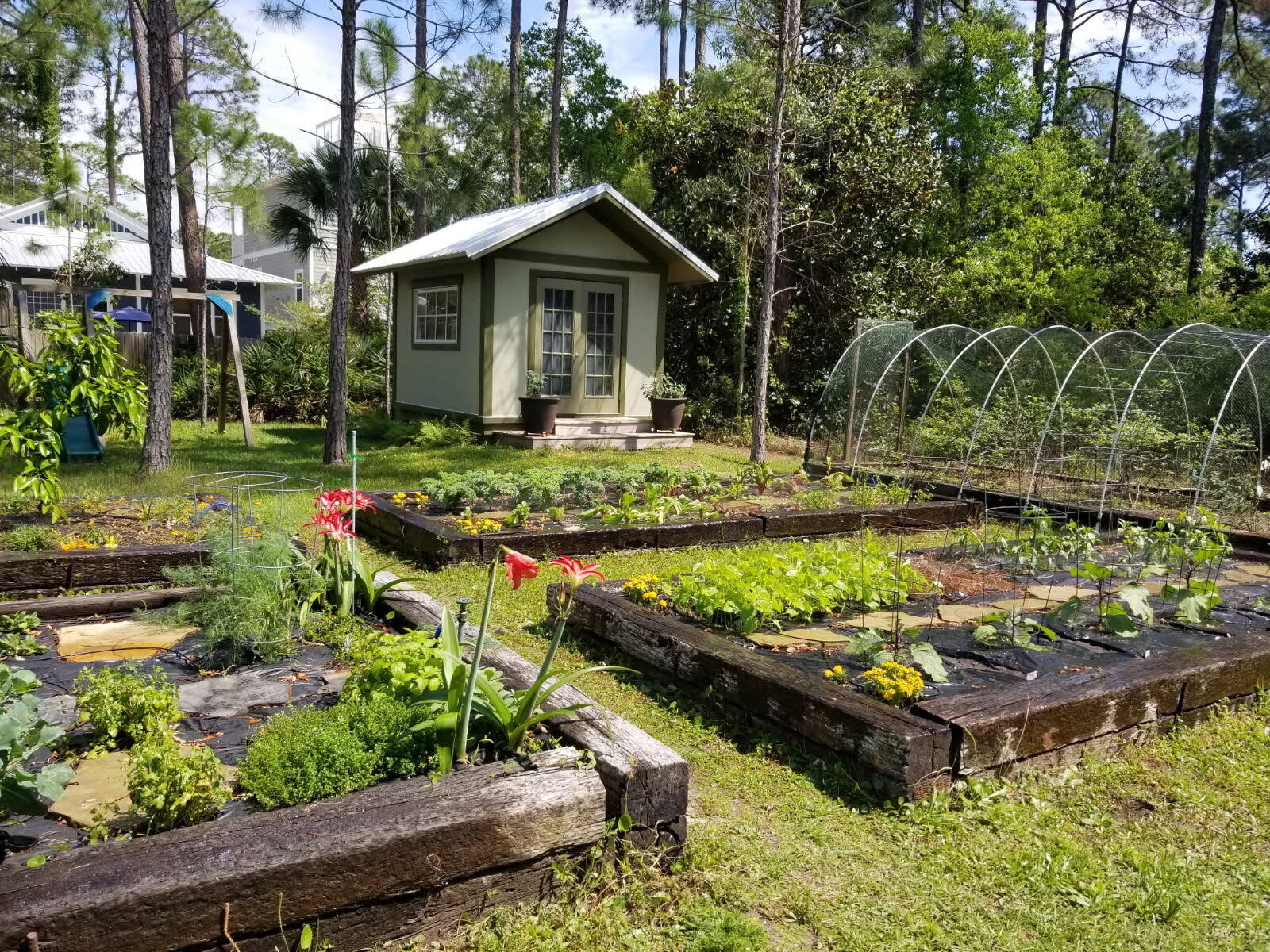 Lot 24 N Blk 13 Dothan Avenue