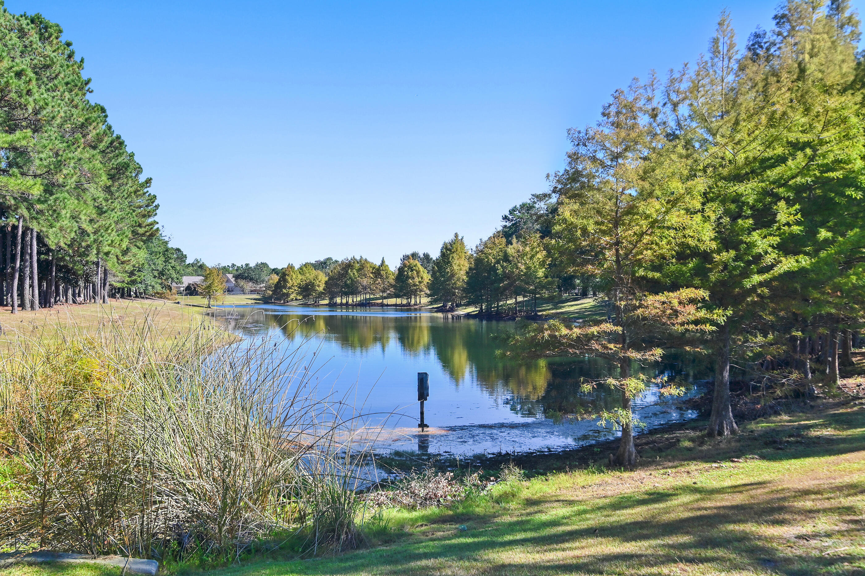 63 Camellia Court