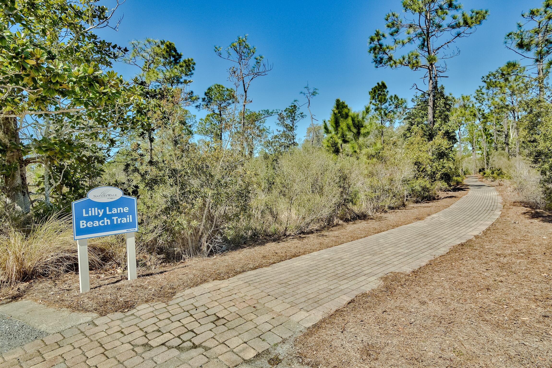305 Flatwoods Forest Loop