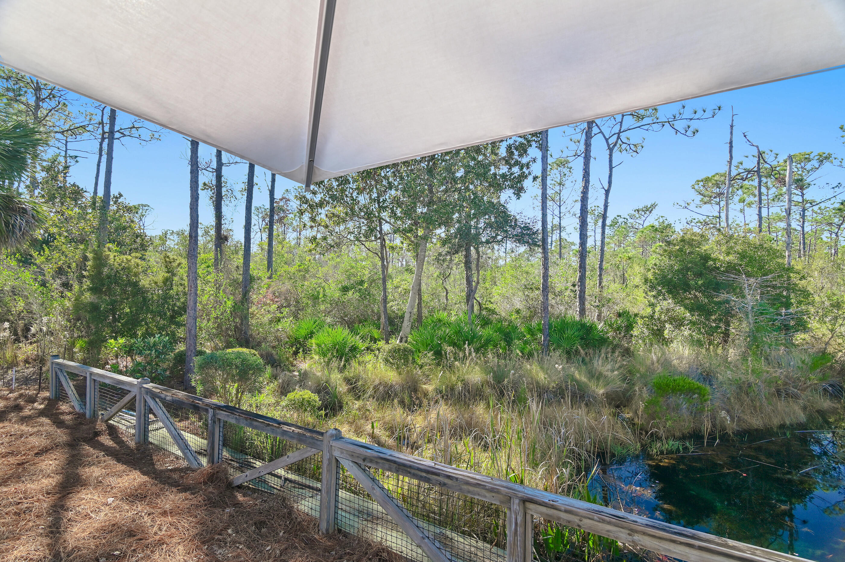 305 Flatwoods Forest Loop