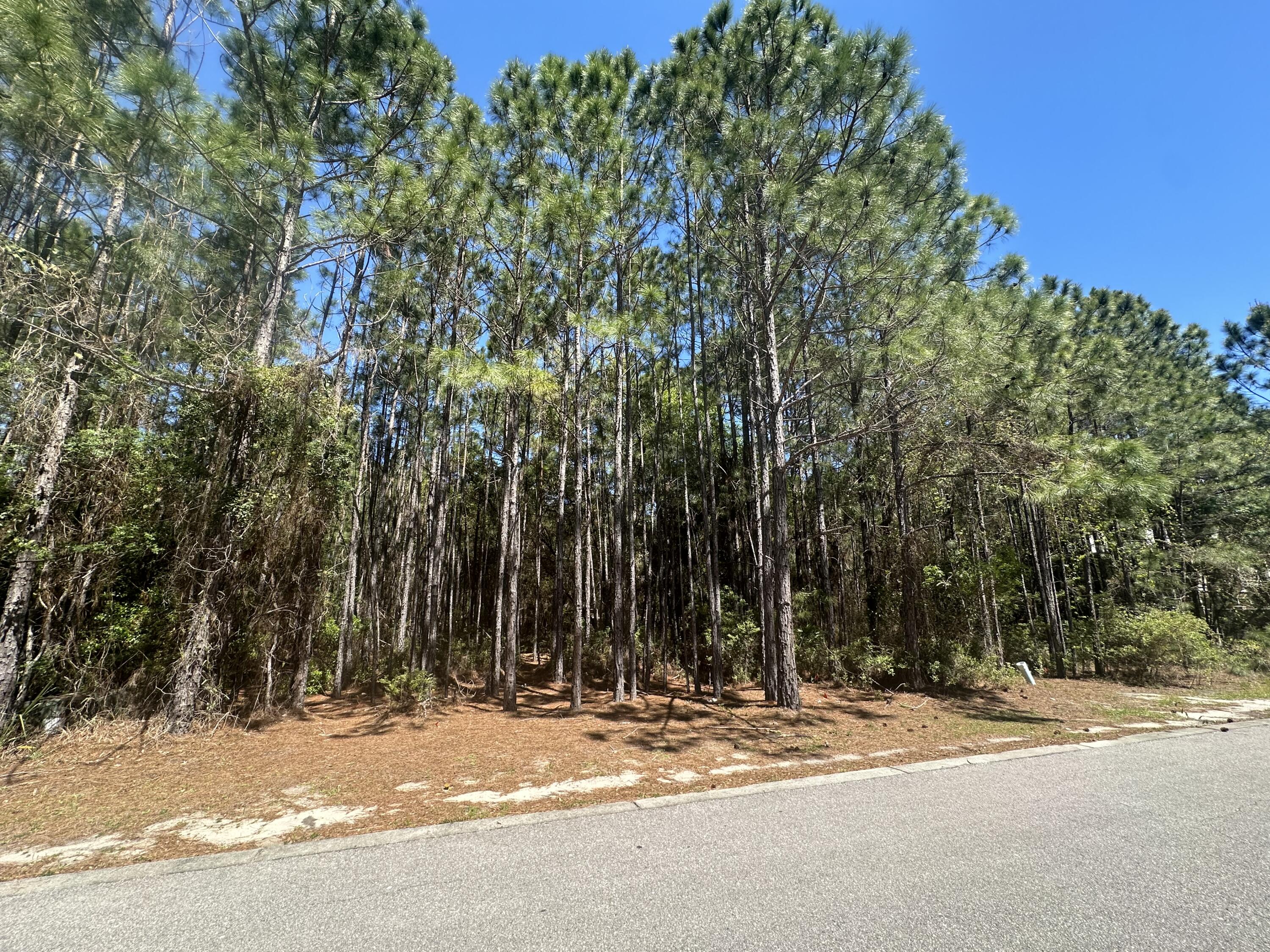 Lot 14 Preston Path