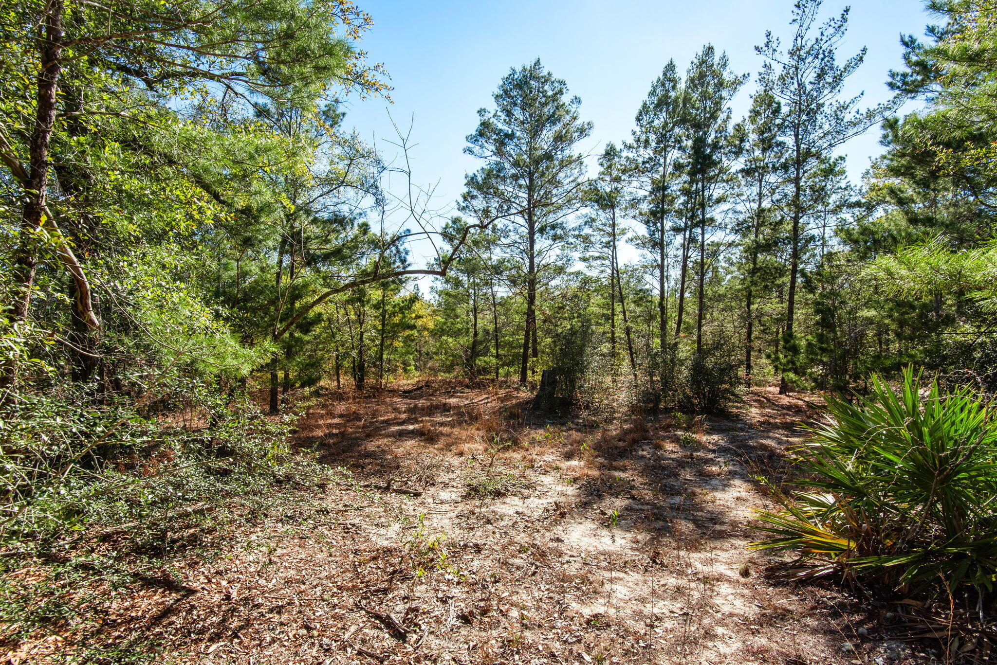 481 Timber Wind Drive, DeFuniak Springs