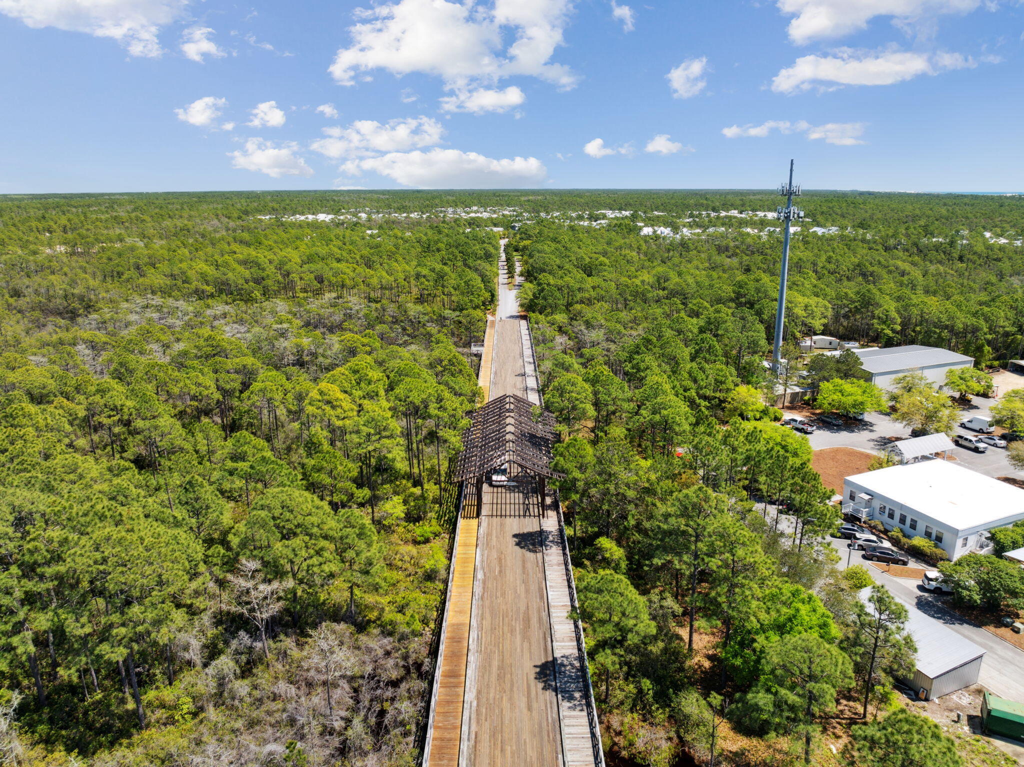 65 Flatwoods Forest Loop