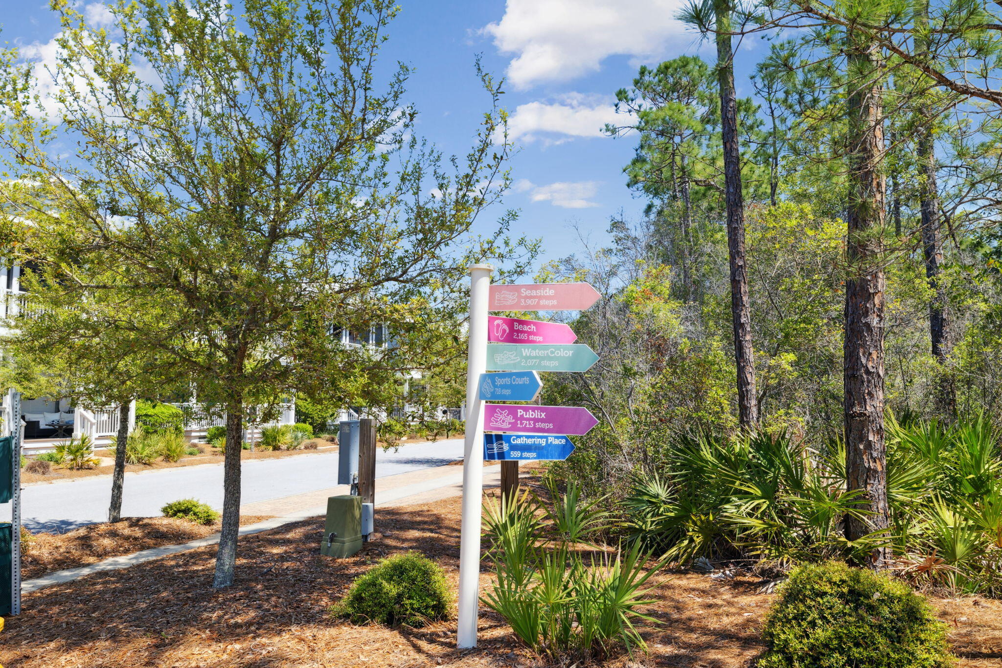 65 Flatwoods Forest Loop