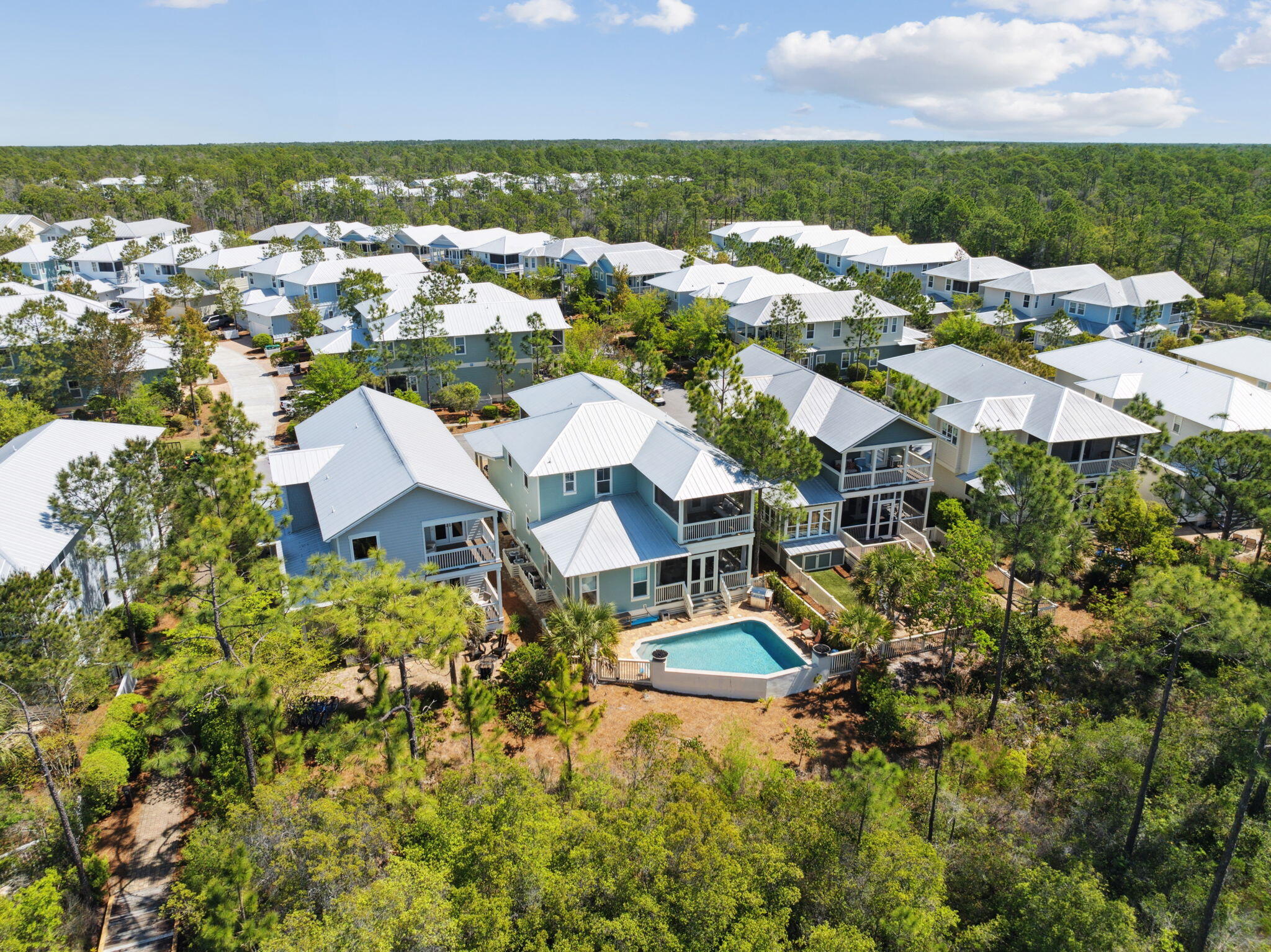 65 Flatwoods Forest Loop