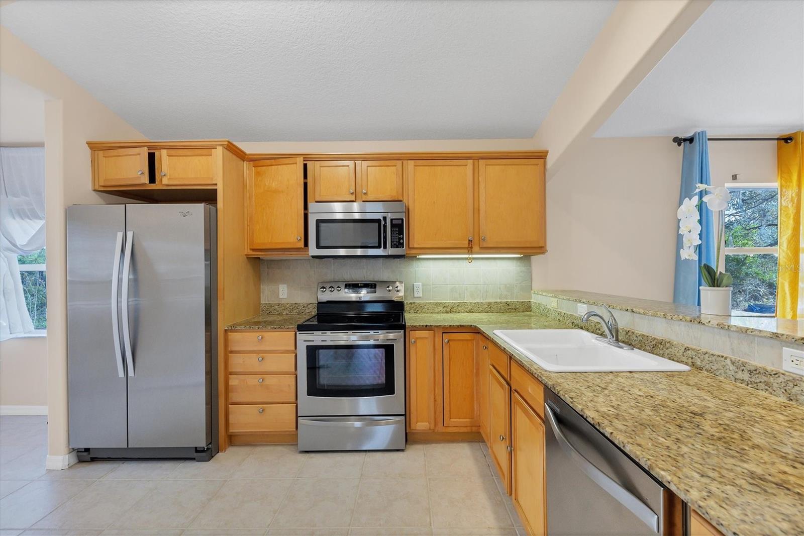 11907 DE LEON DRIVE