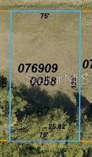 TRIONFO AVE #LOT 67