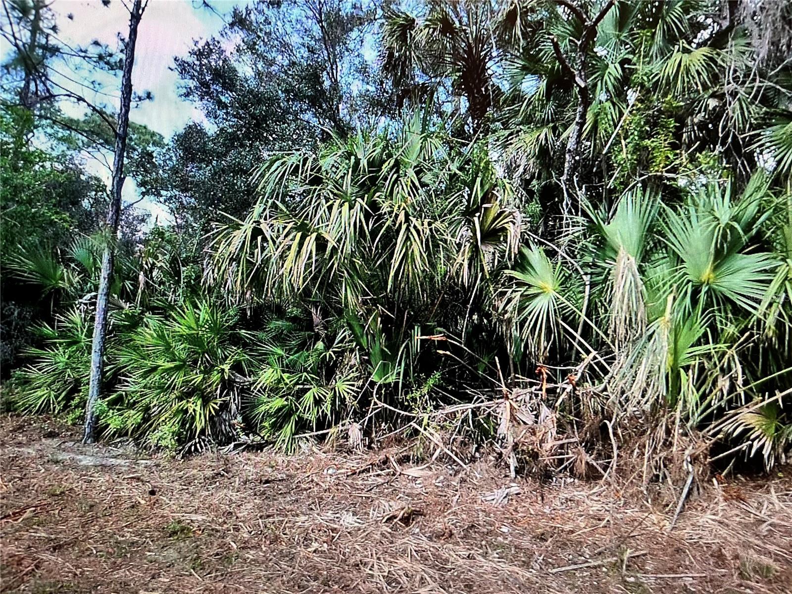 Lot 22 SURF AVE