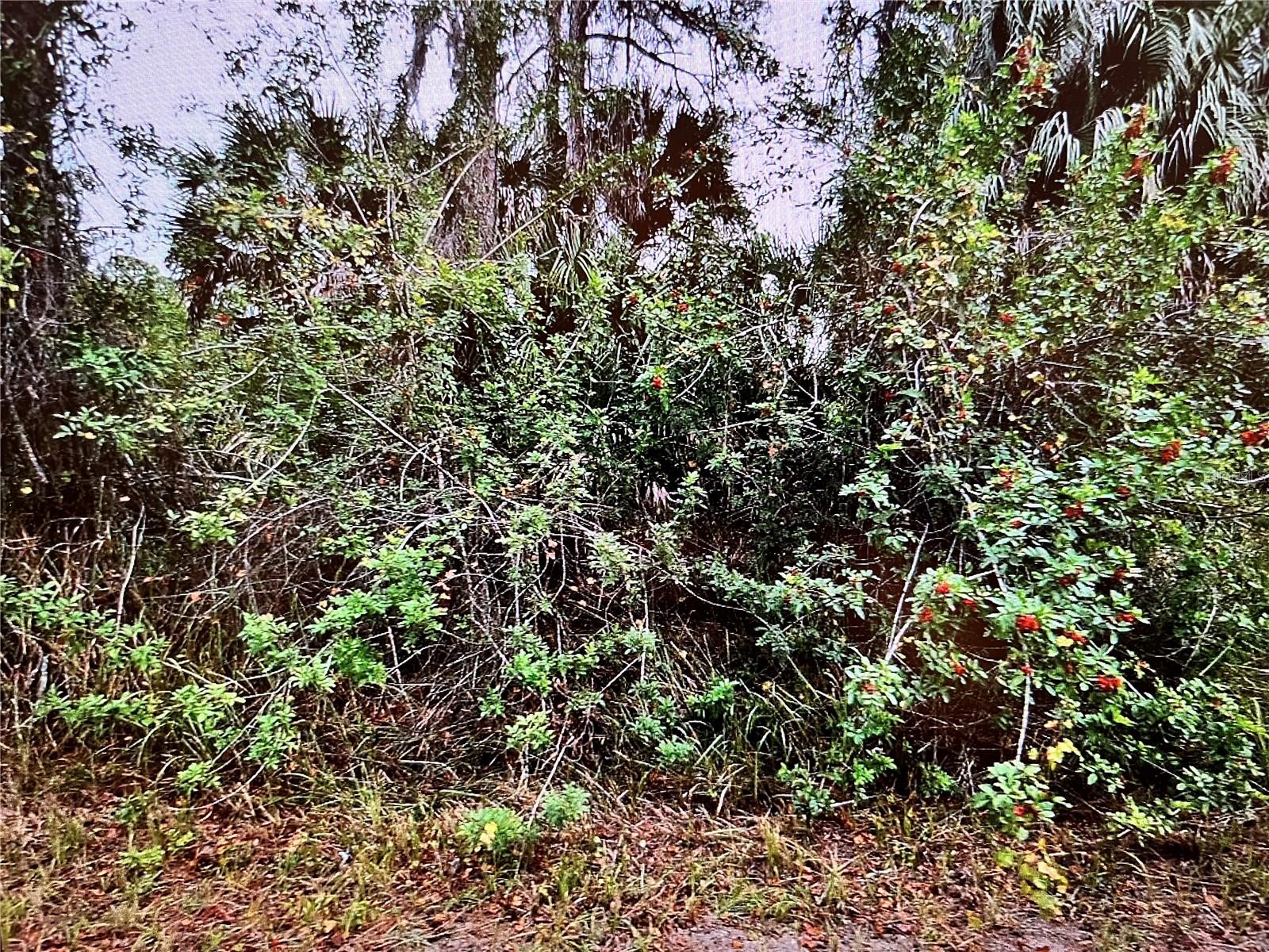 LOT 24 CAMPBELL ST