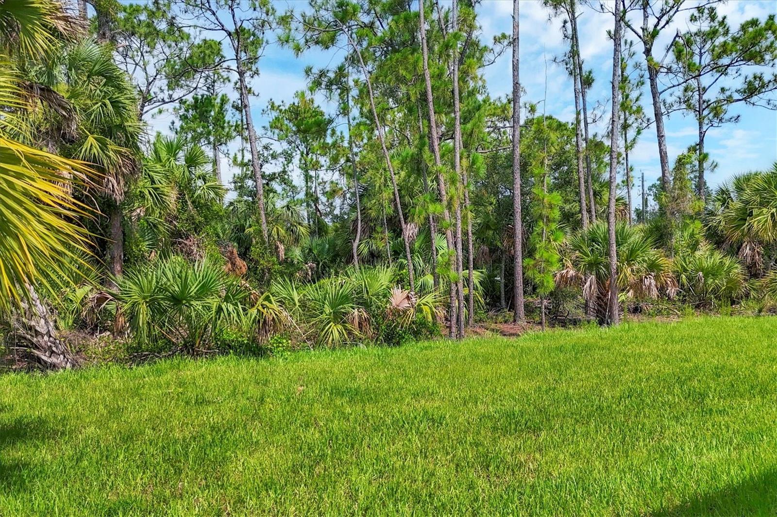 1667 RUSSELLVILLE ST