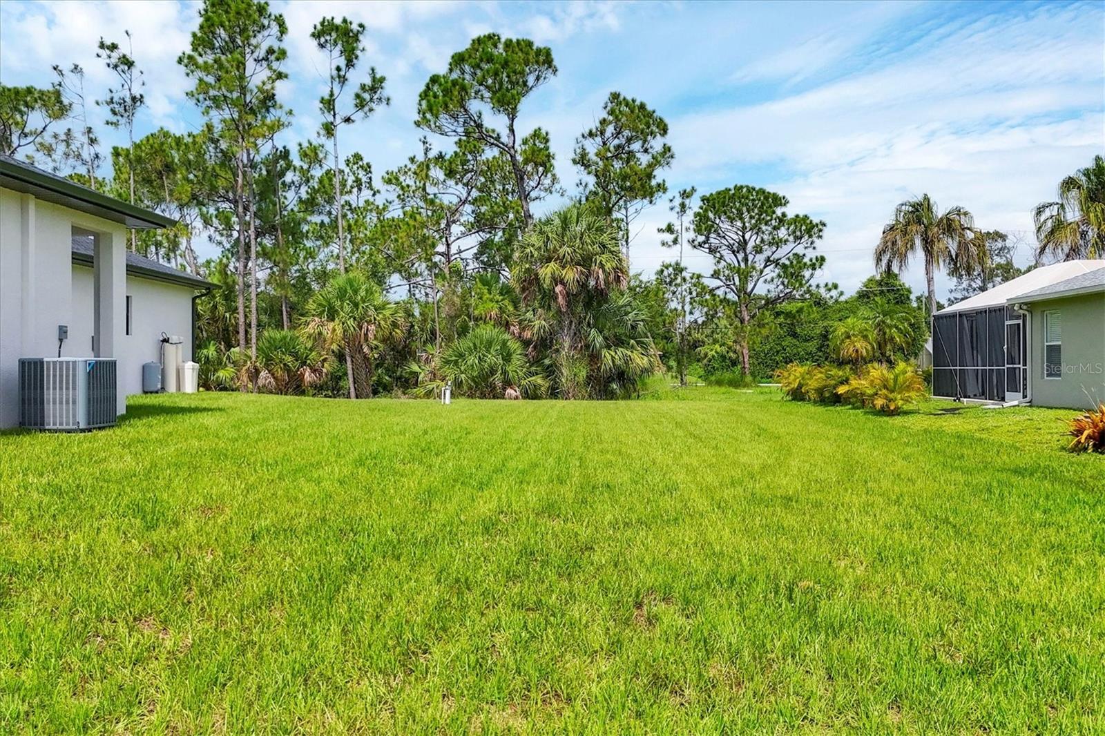 1667 RUSSELLVILLE ST