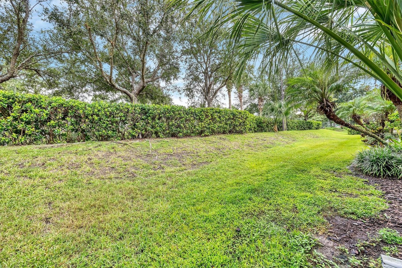 12950 TIGERS EYE DR