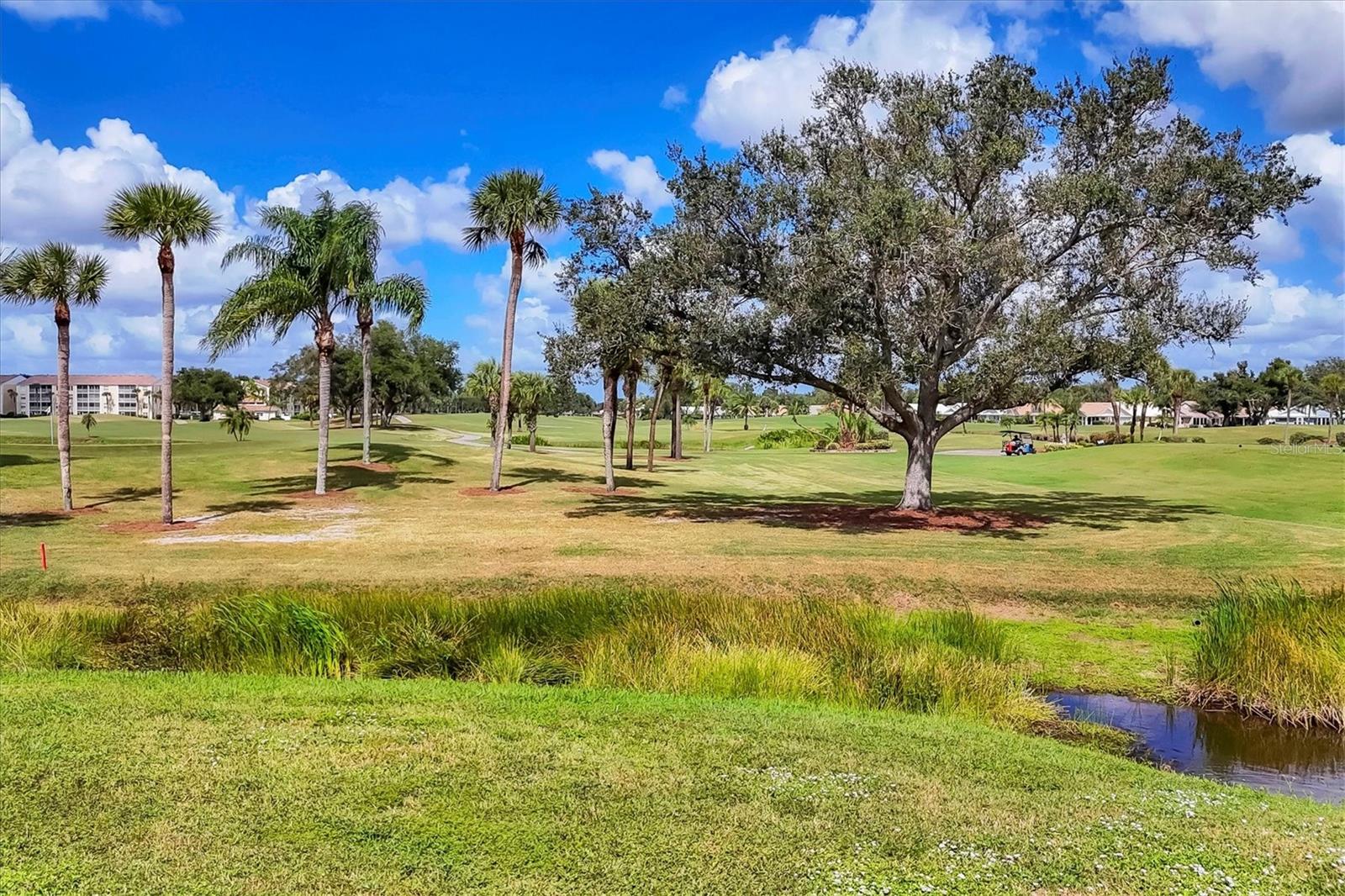 408 CERROMAR CIR S #331