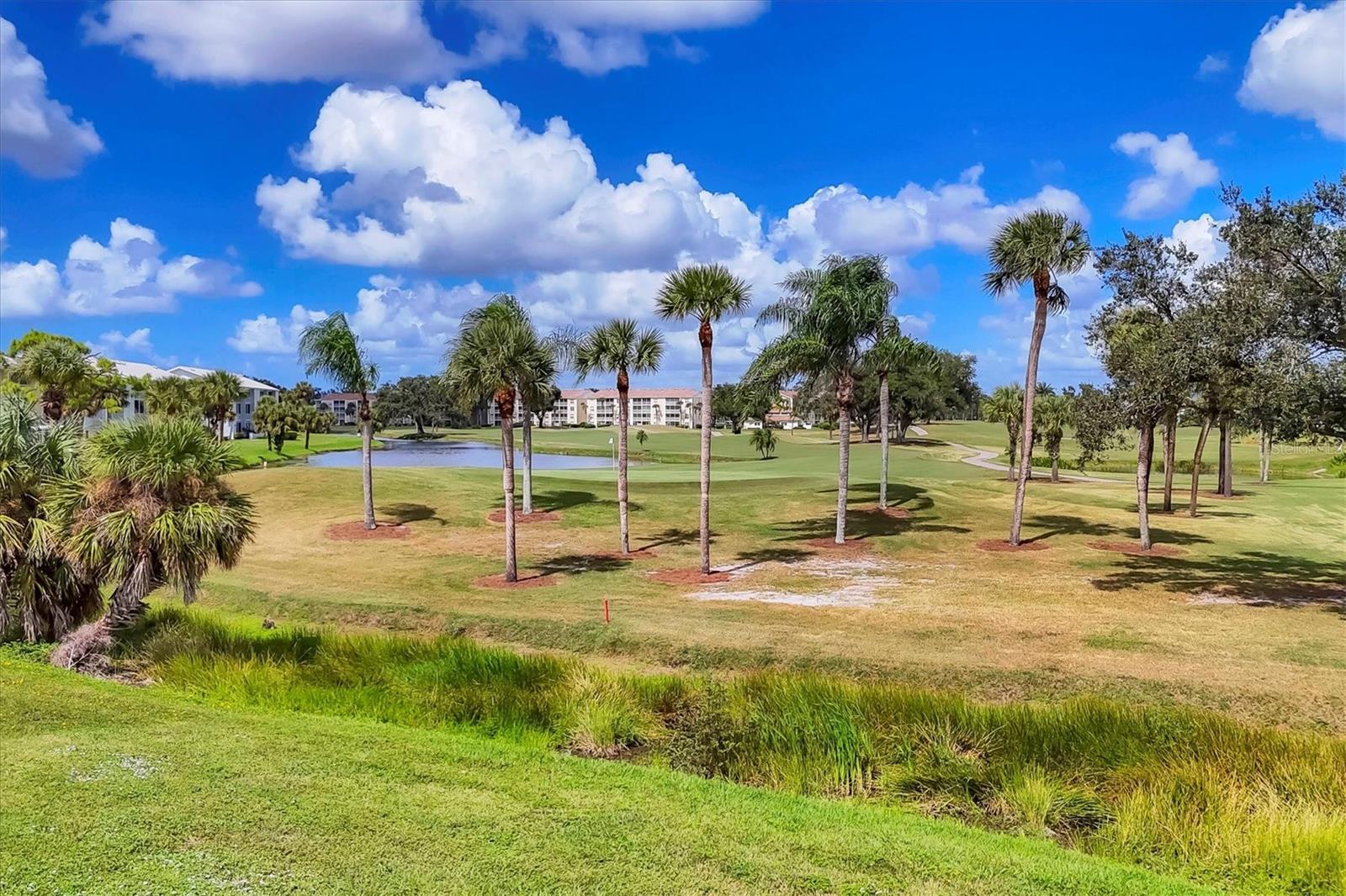 408 CERROMAR CIR S #331