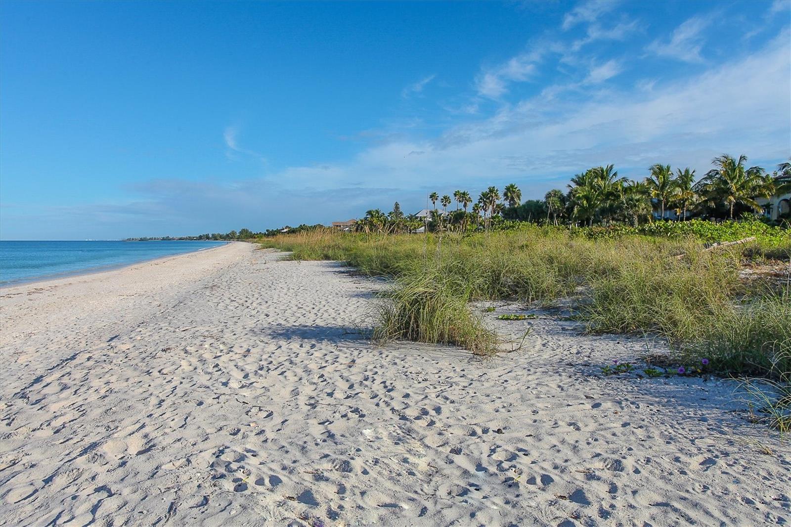 101 AVENIDA DE BAHIA