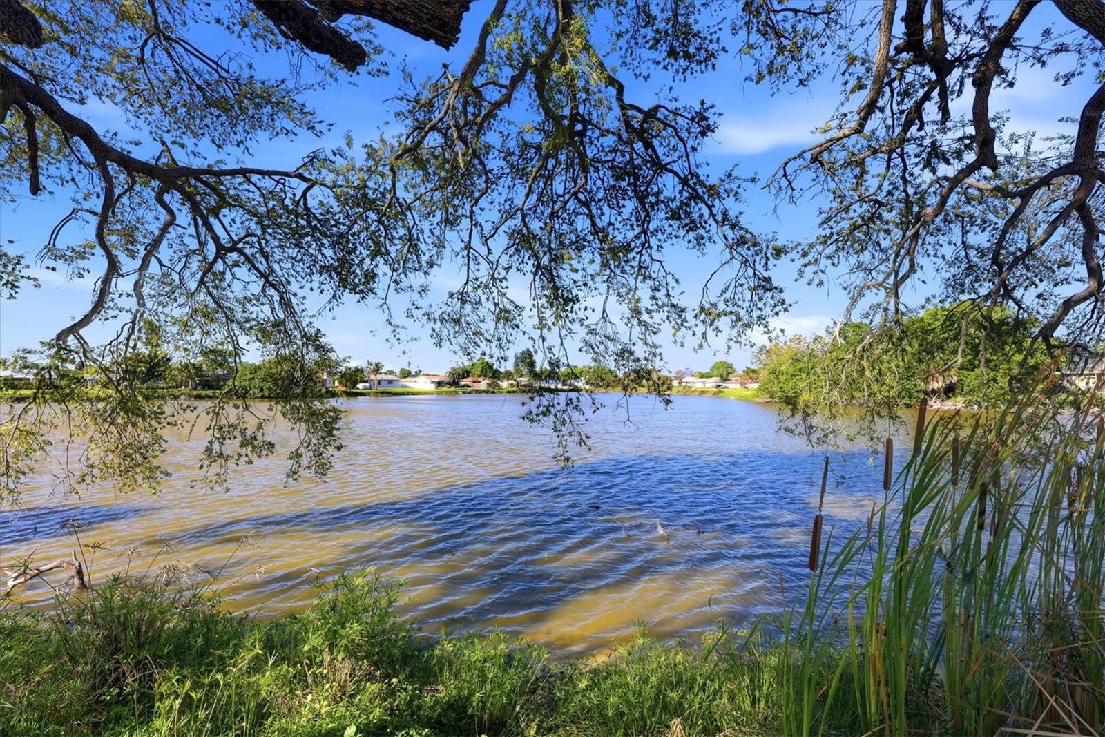 4452 TORTOISE RD