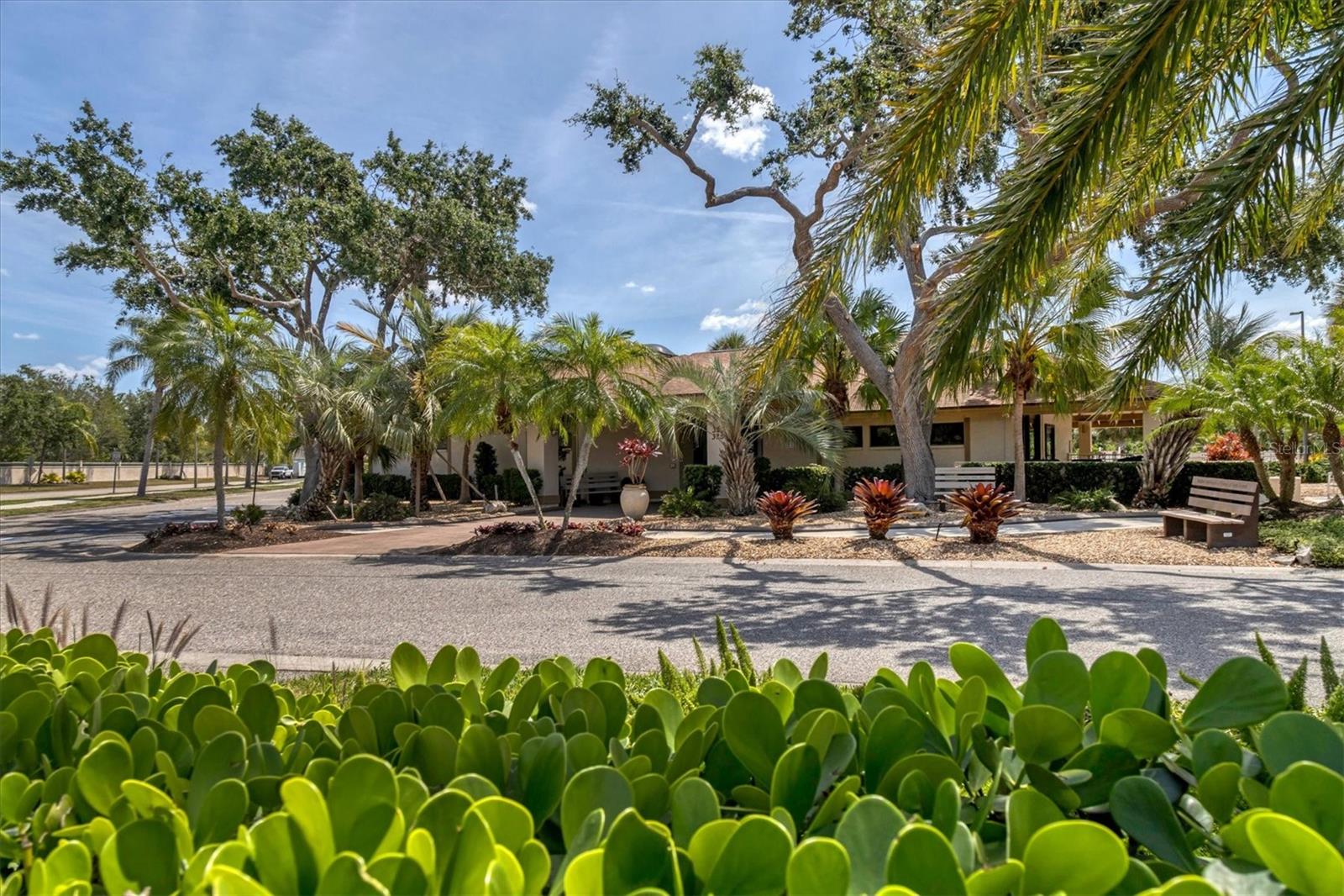 445 TOMOKA DR