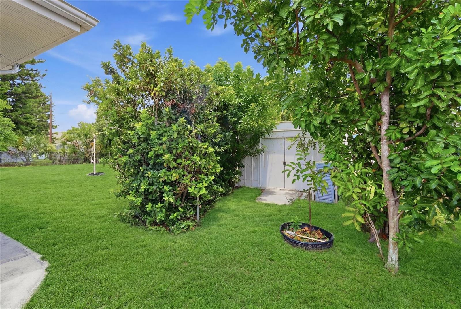 329 SAN BENITO AVE
