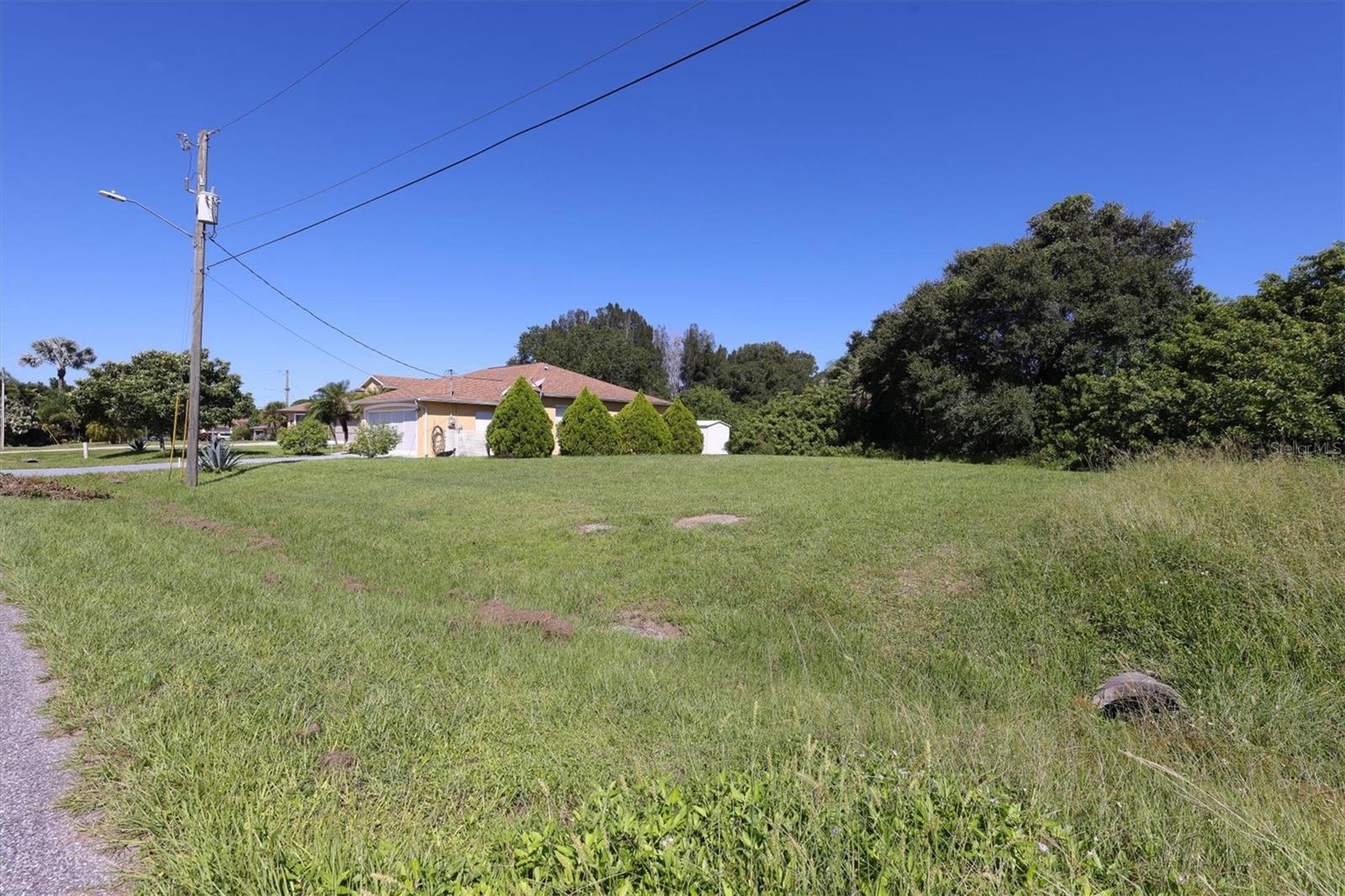 12004 SARTO LN
