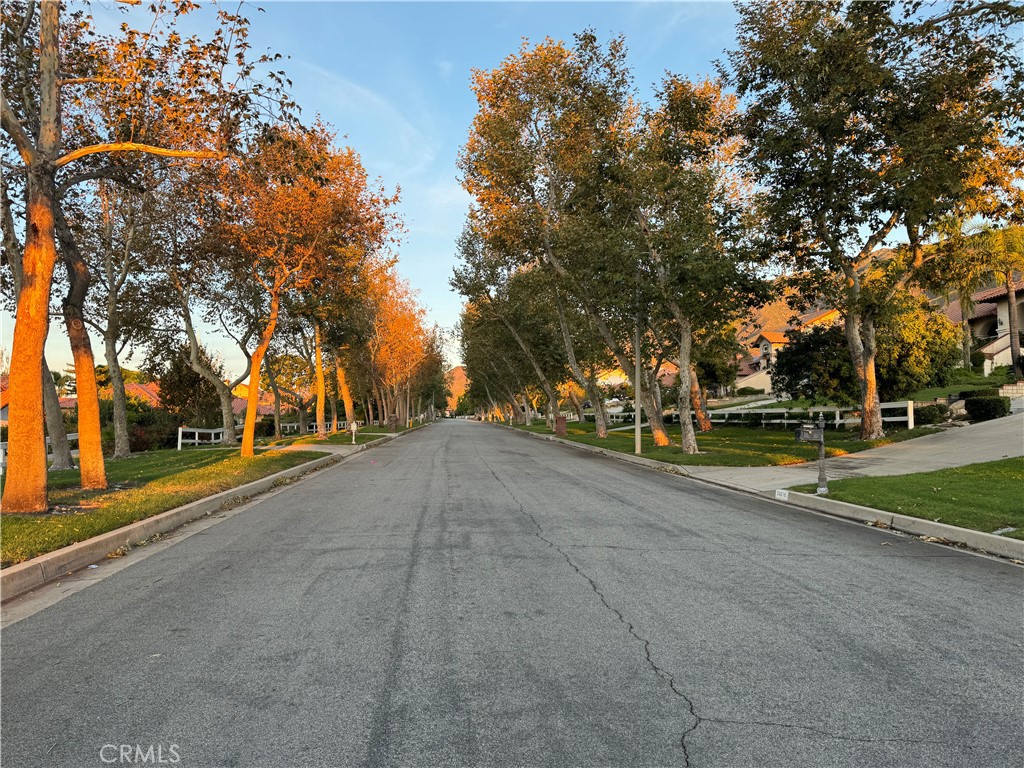 10596 Deer Canyon Drive