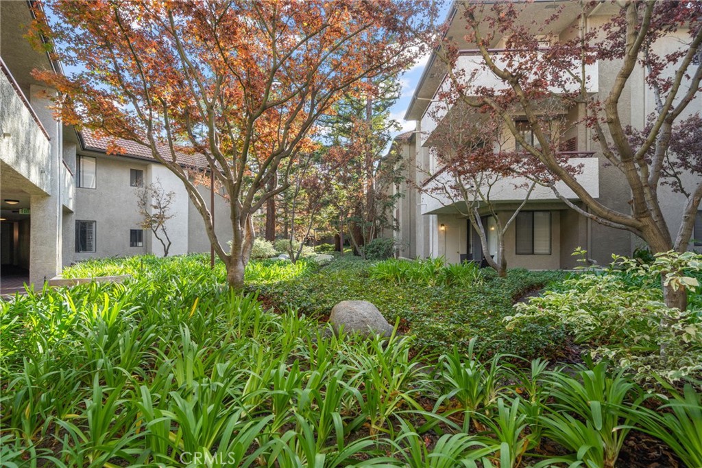 4280 Via Arbolada 207