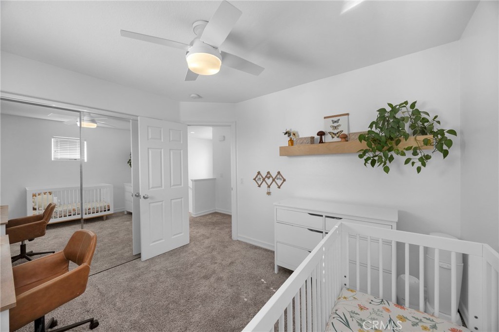 271 W Sparkleberry