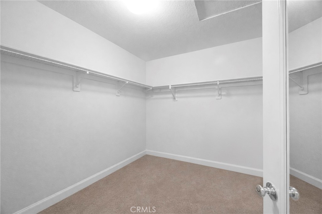 271 W Sparkleberry