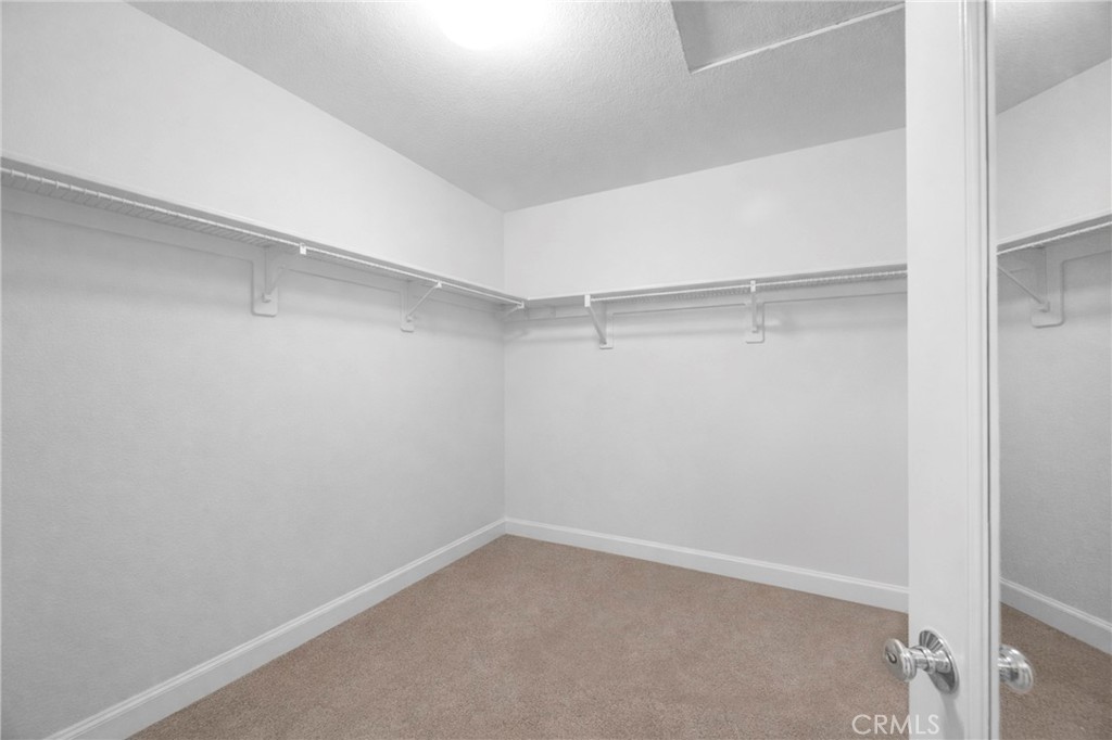 271 W Sparkleberry