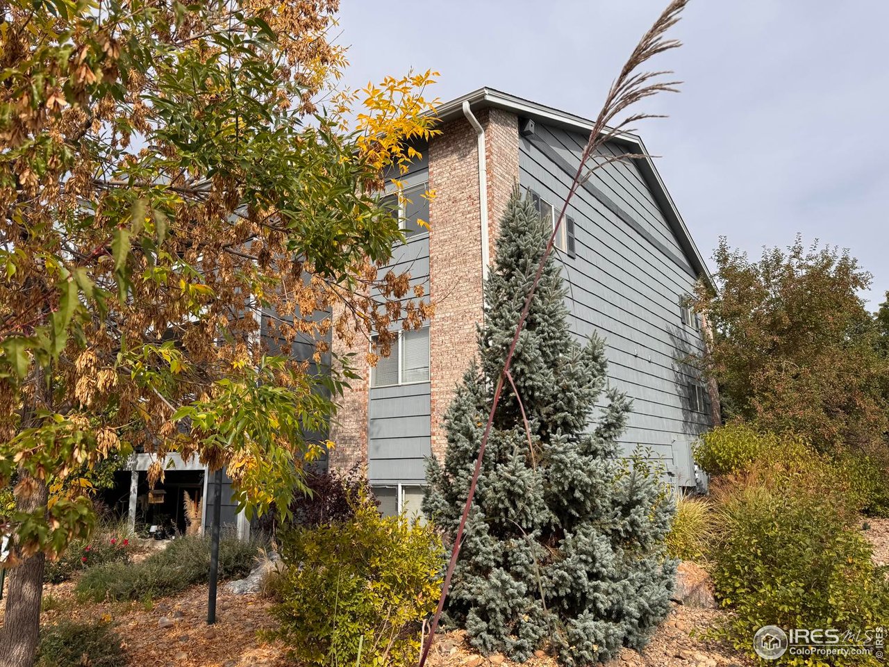 4658 White Rock Cir 5