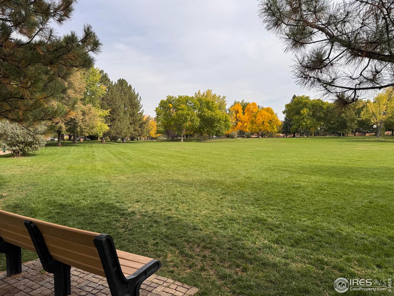 4658 White Rock Cir 5