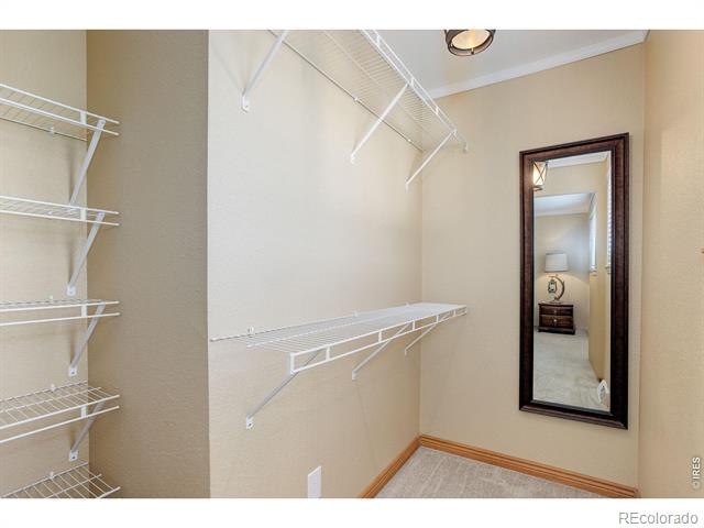 9852 Zephyr Drive