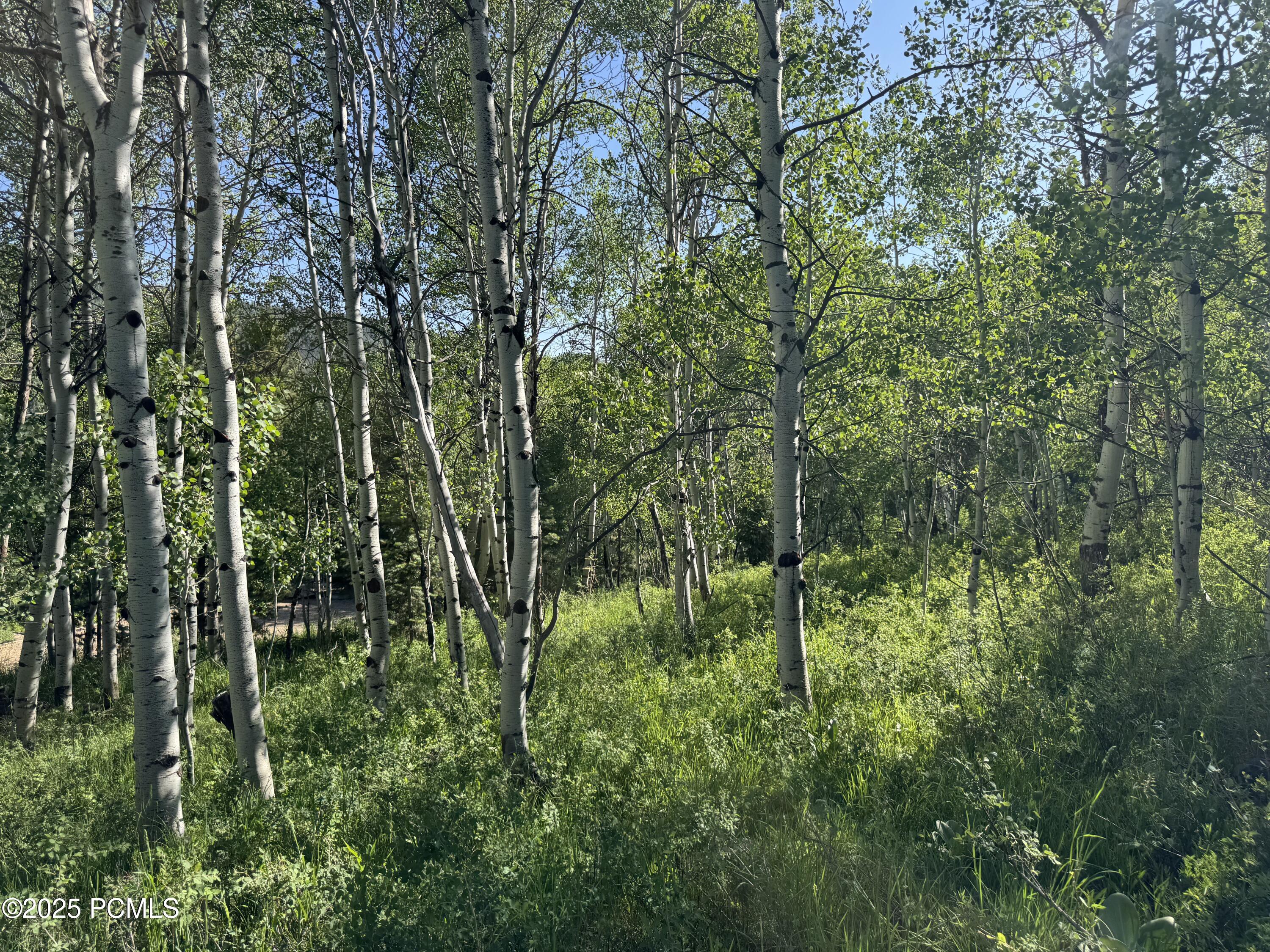 5592 Fremont Trail