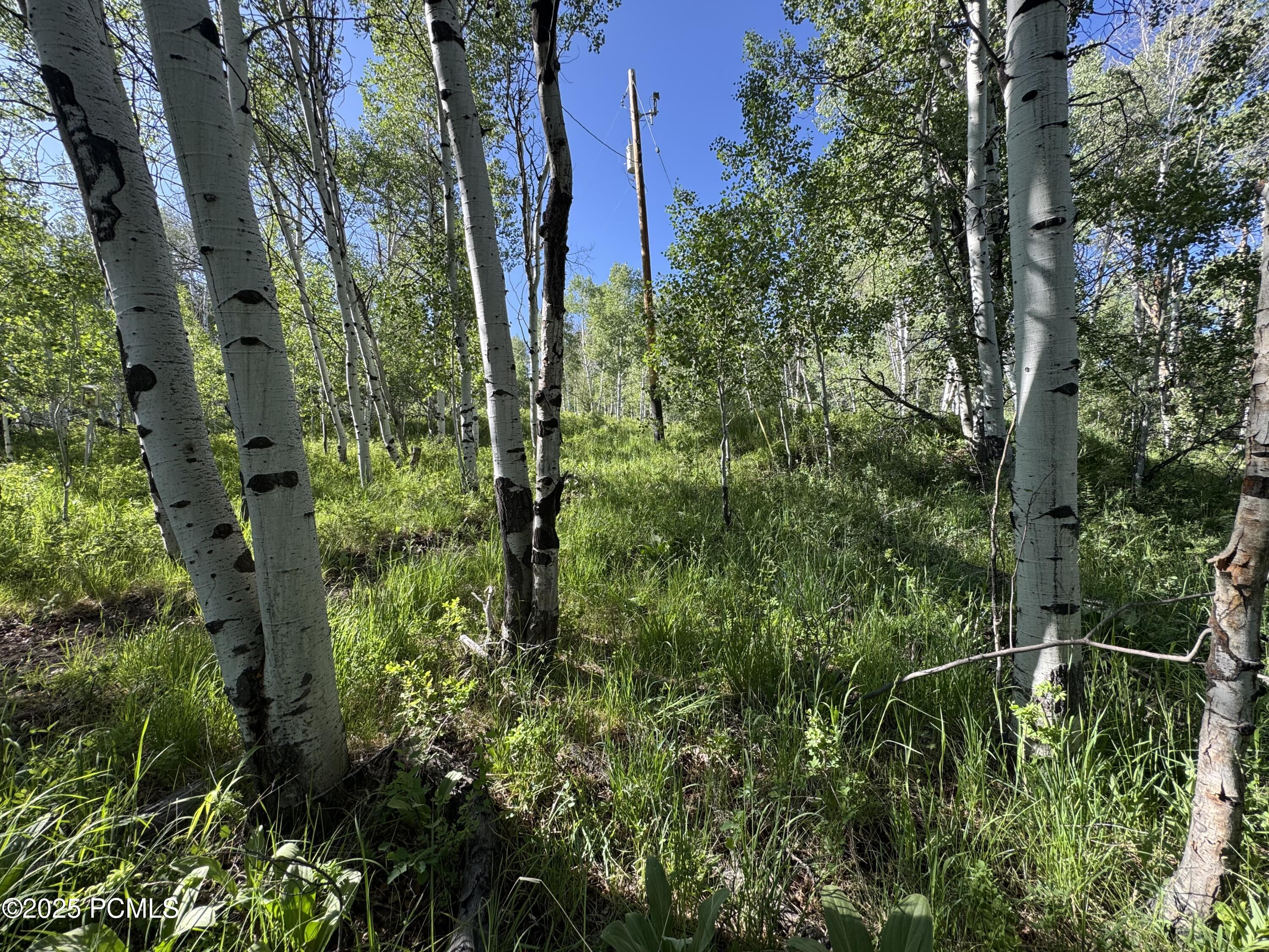 5592 Fremont Trail