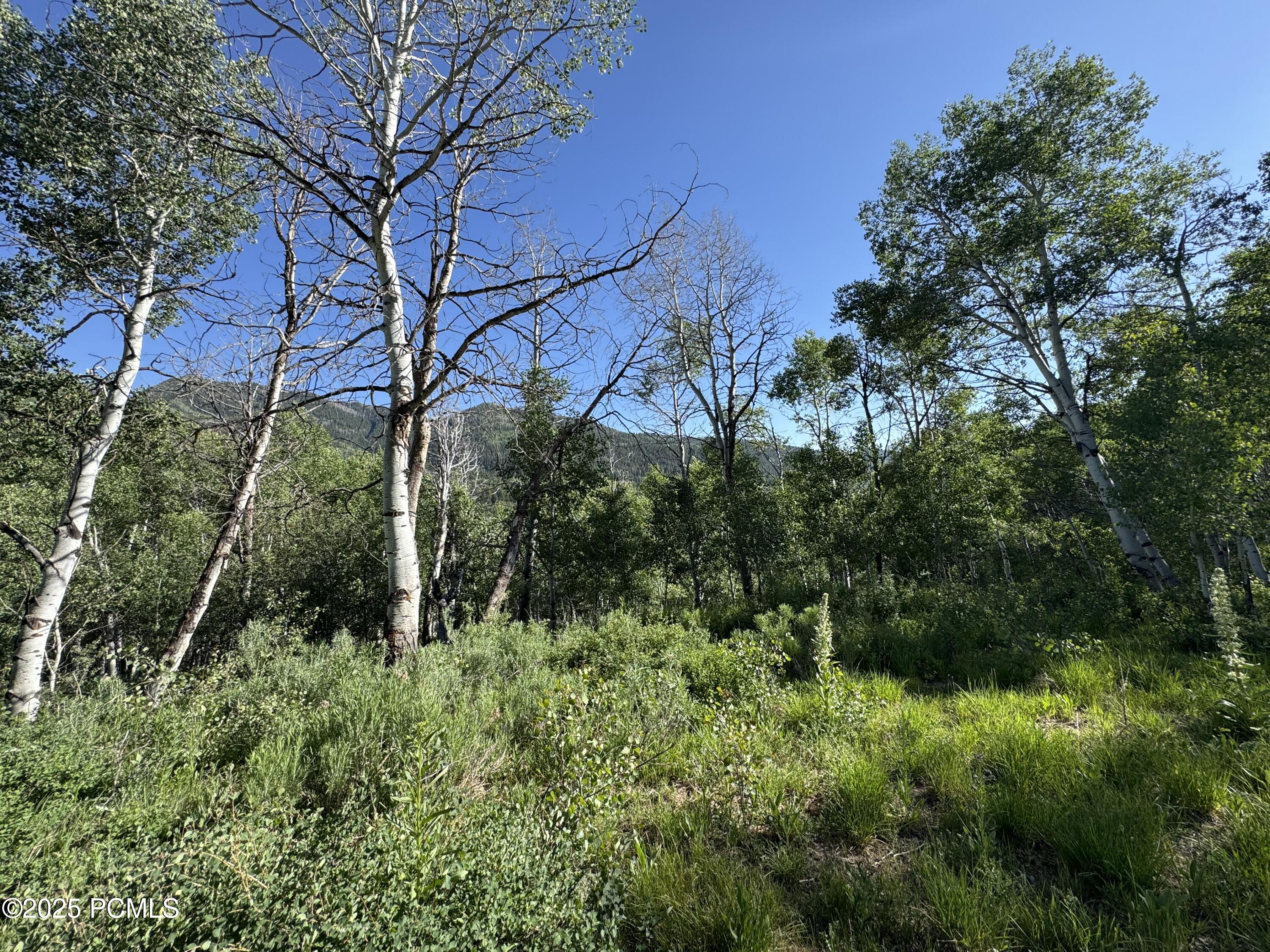 5592 Fremont Trail