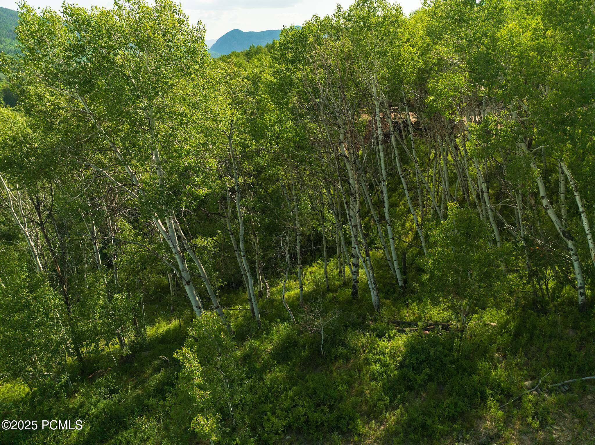 5592 Fremont Trail
