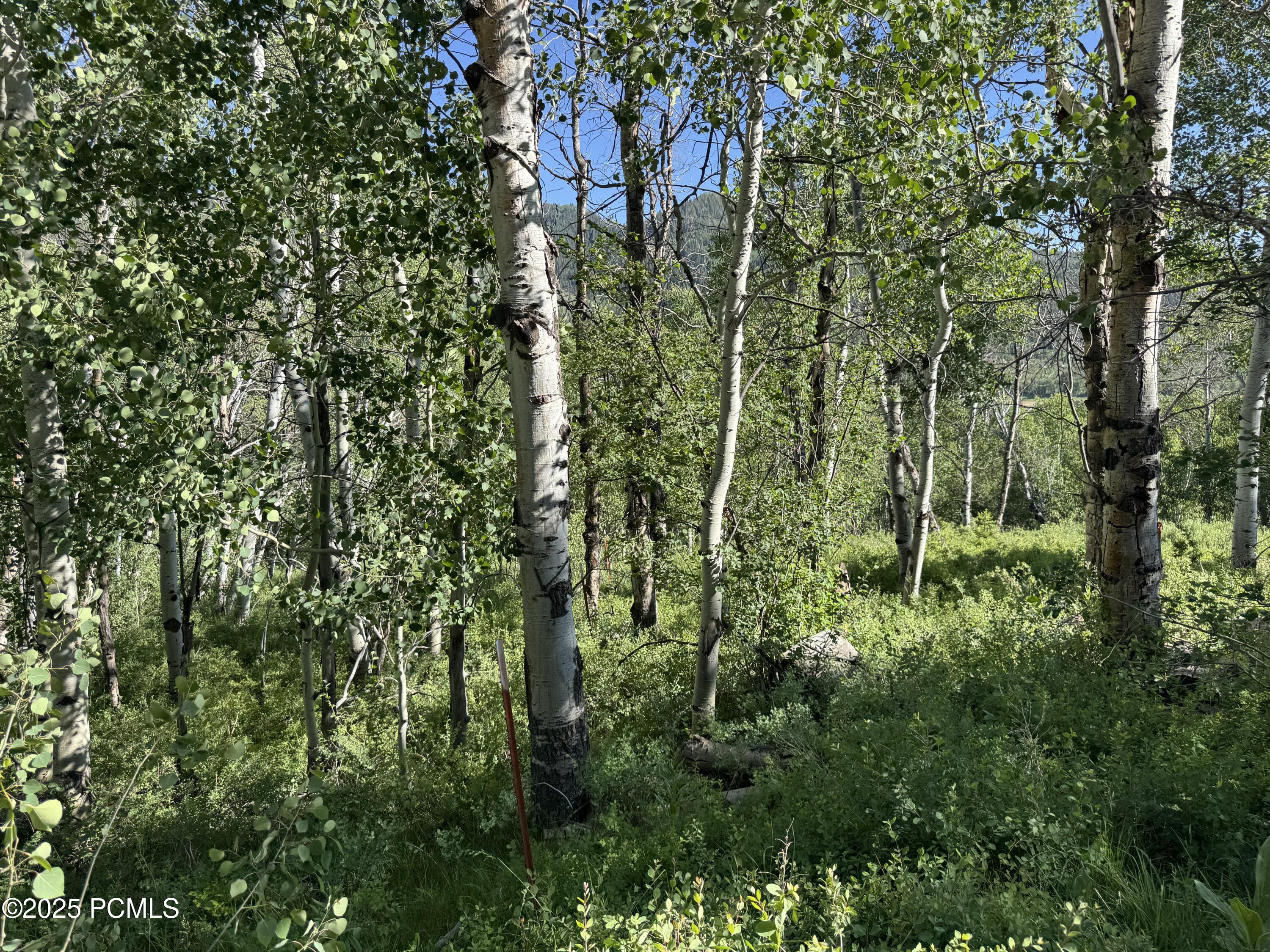 5592 Fremont Trail