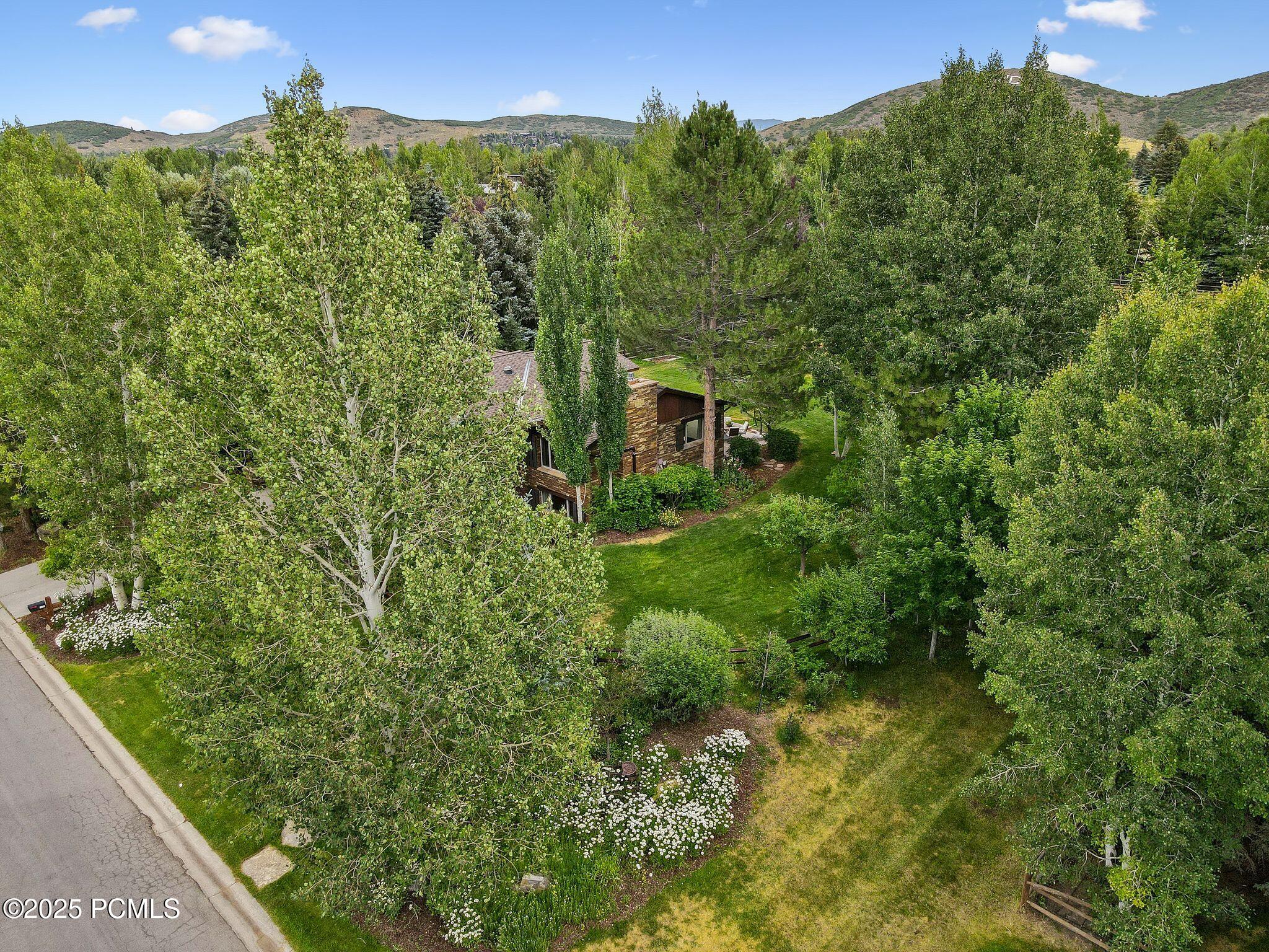 2350 Lucky John Drive