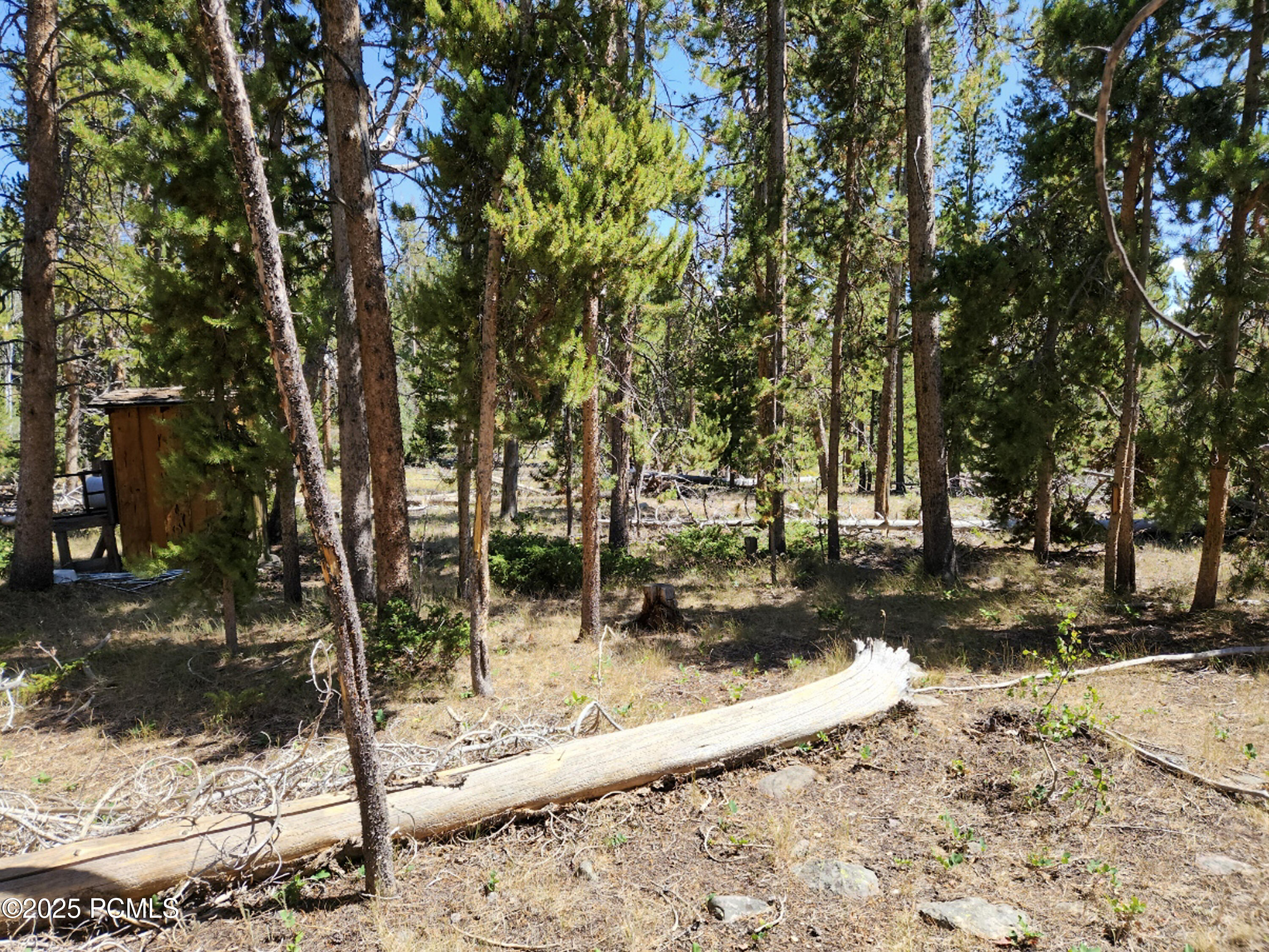 5559 Forest Drive