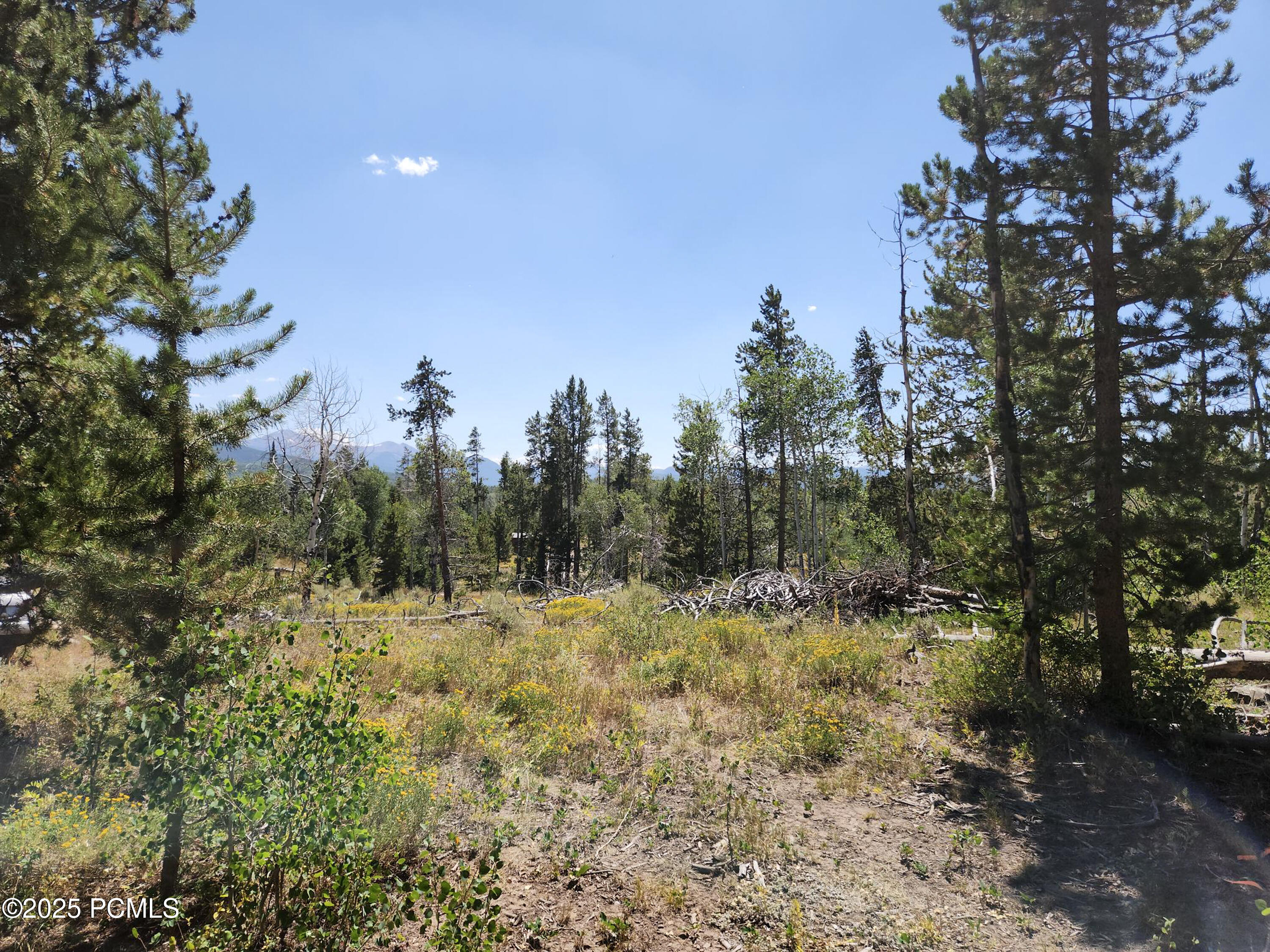 5559 Forest Drive