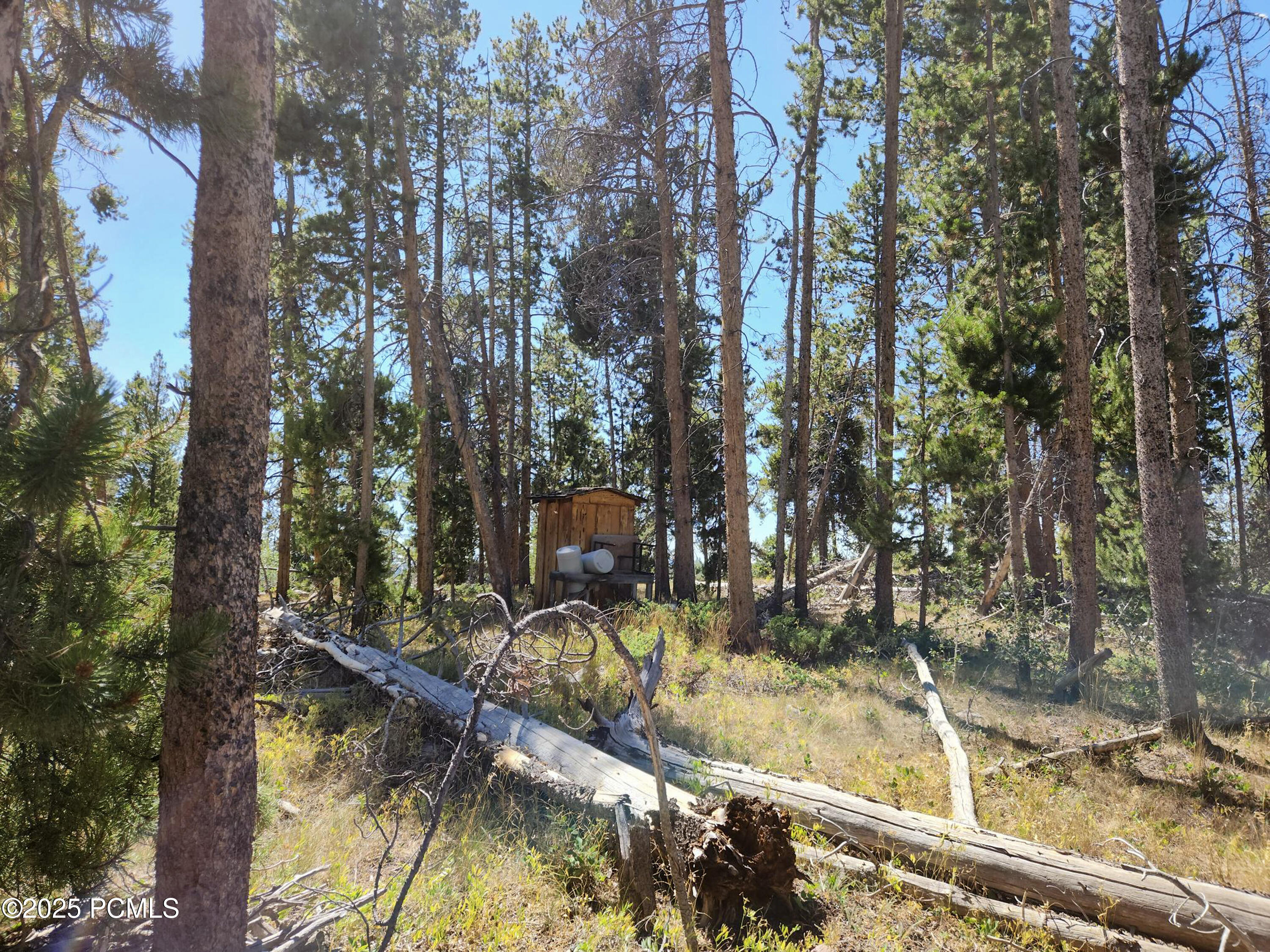 5559 Forest Drive