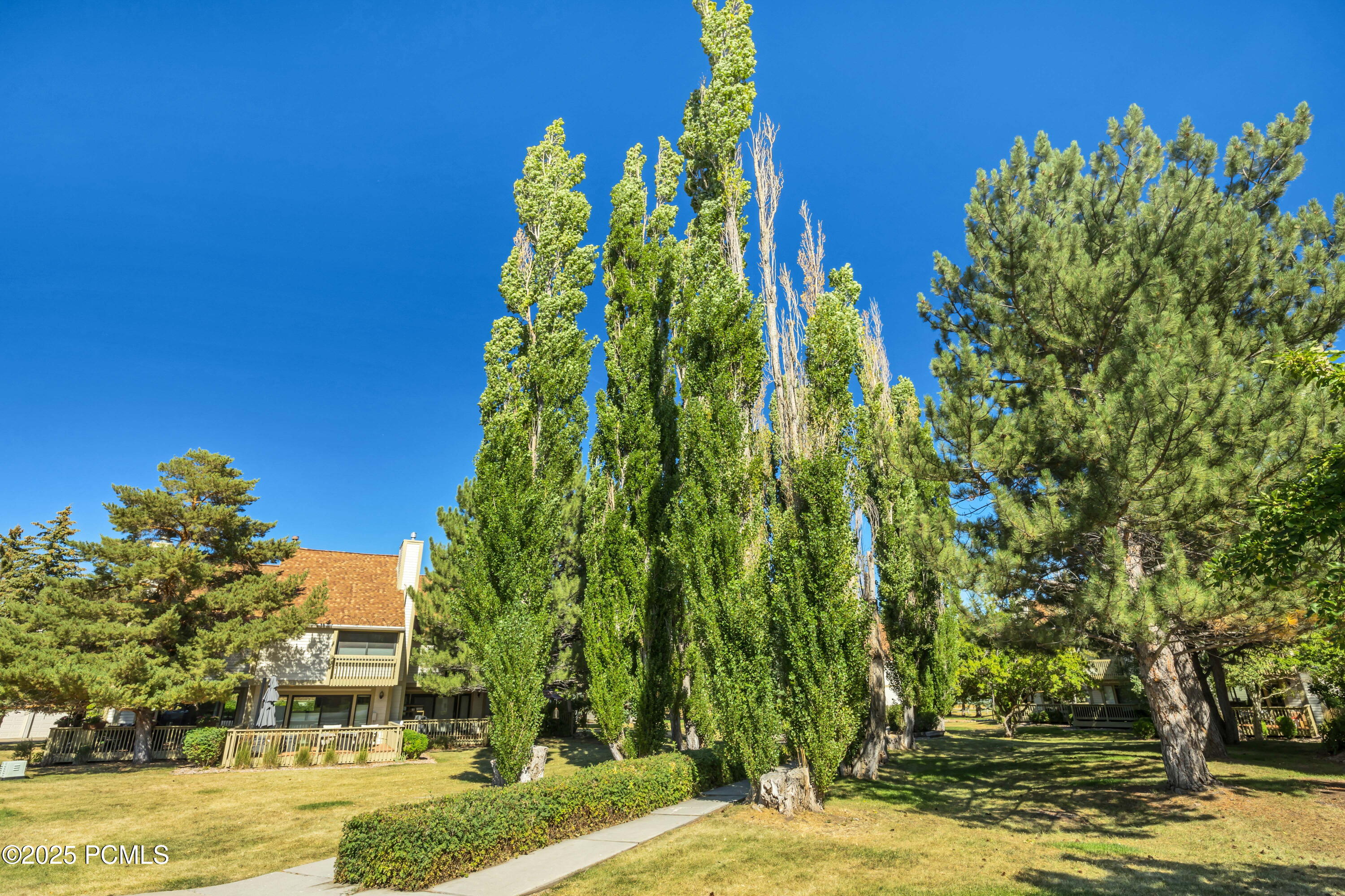 115 Davis Court